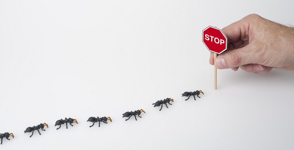 A person is holding a stop sign in front of a line of ants.