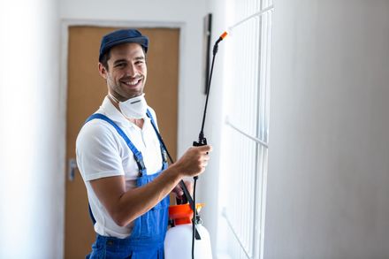 A man wearing a mask is spraying a wall with a sprayer.