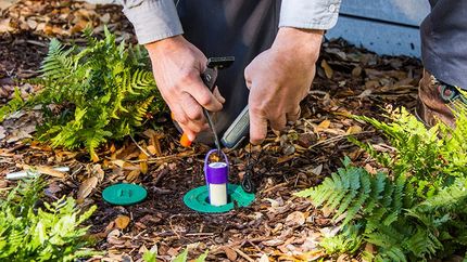 A person is cutting a hole in the ground with a pair of scissors.
