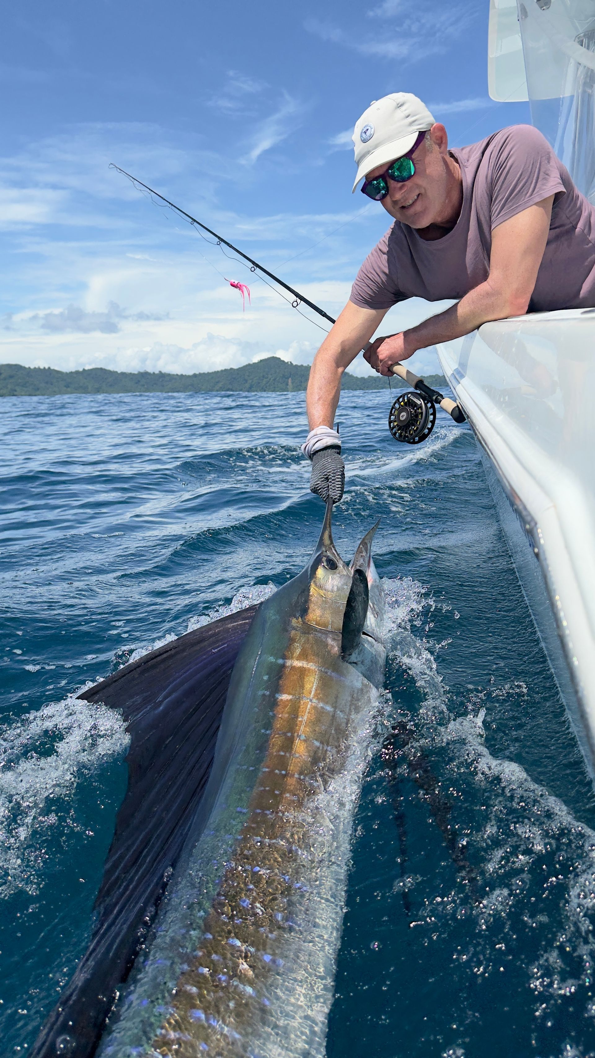 Man on boat releases a sailfish in the ocean. The fish is silver with a large dorsal fin; the man wears a hat and sunglasses.