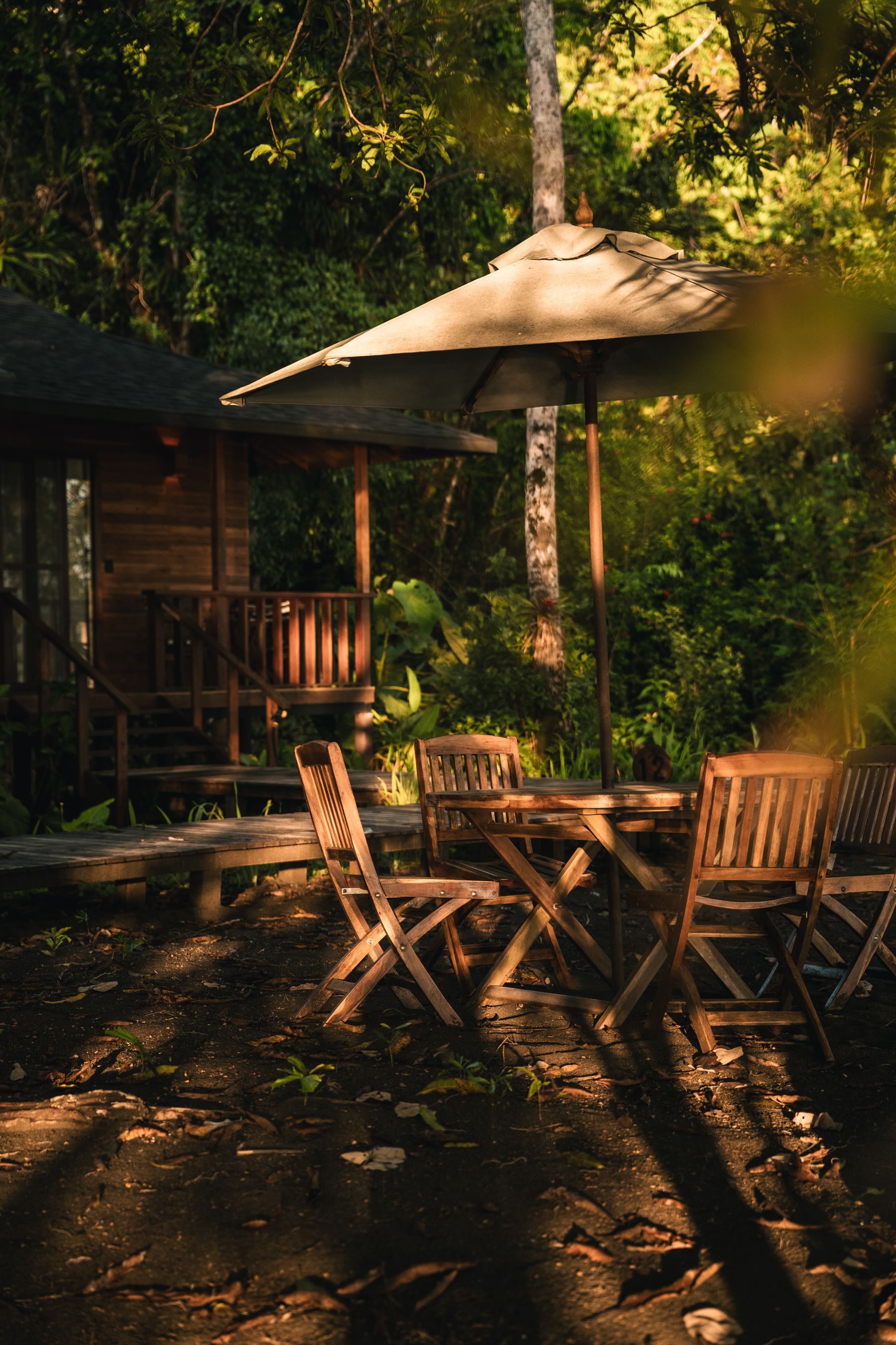 Lush green foliage frames a coastal view with a wooden structure, possibly a patio, overlooking the ocean under a bright sky.