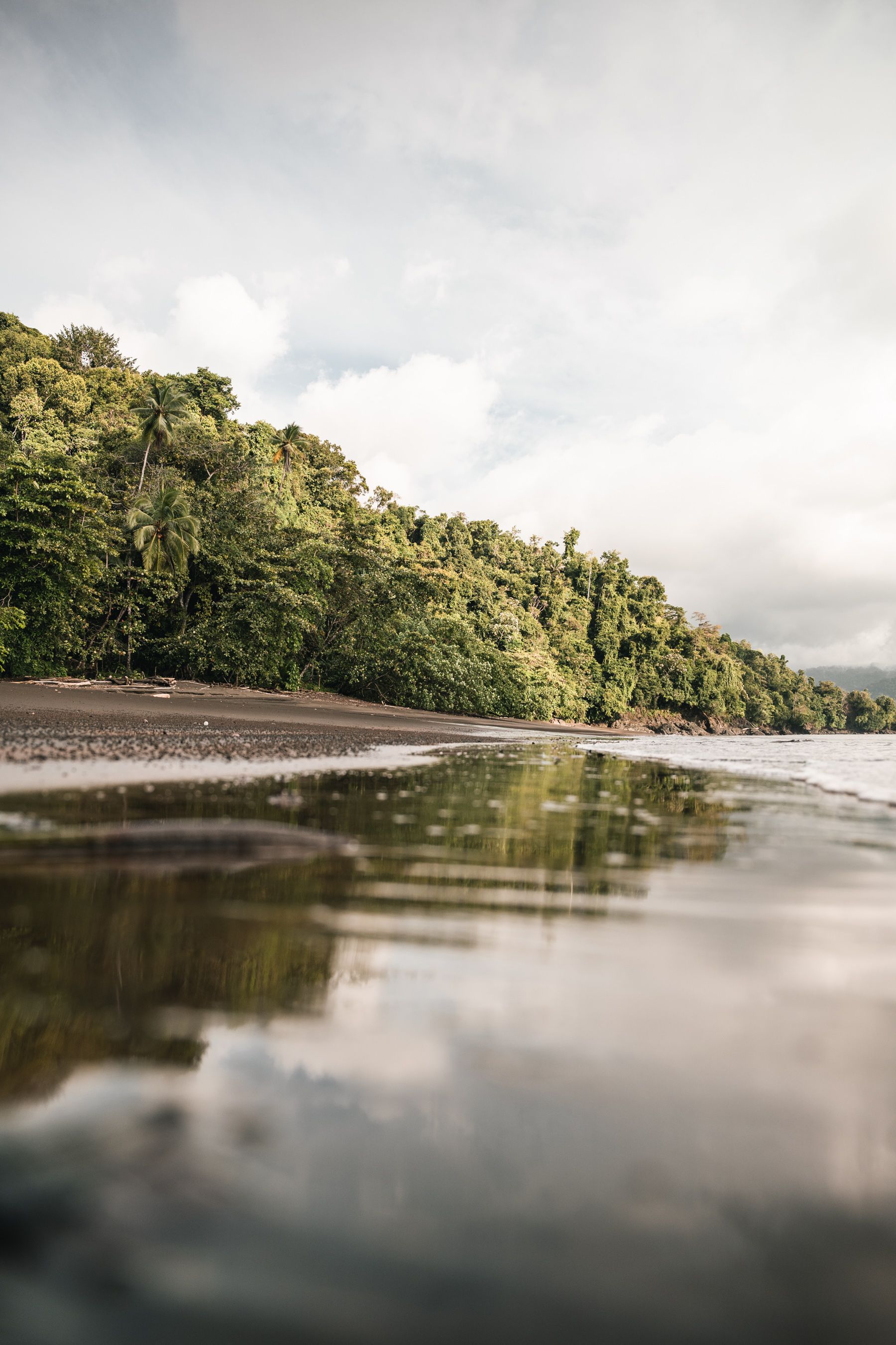 Beachfront property nestled in lush, green rainforest, featuring buildings along the shore.