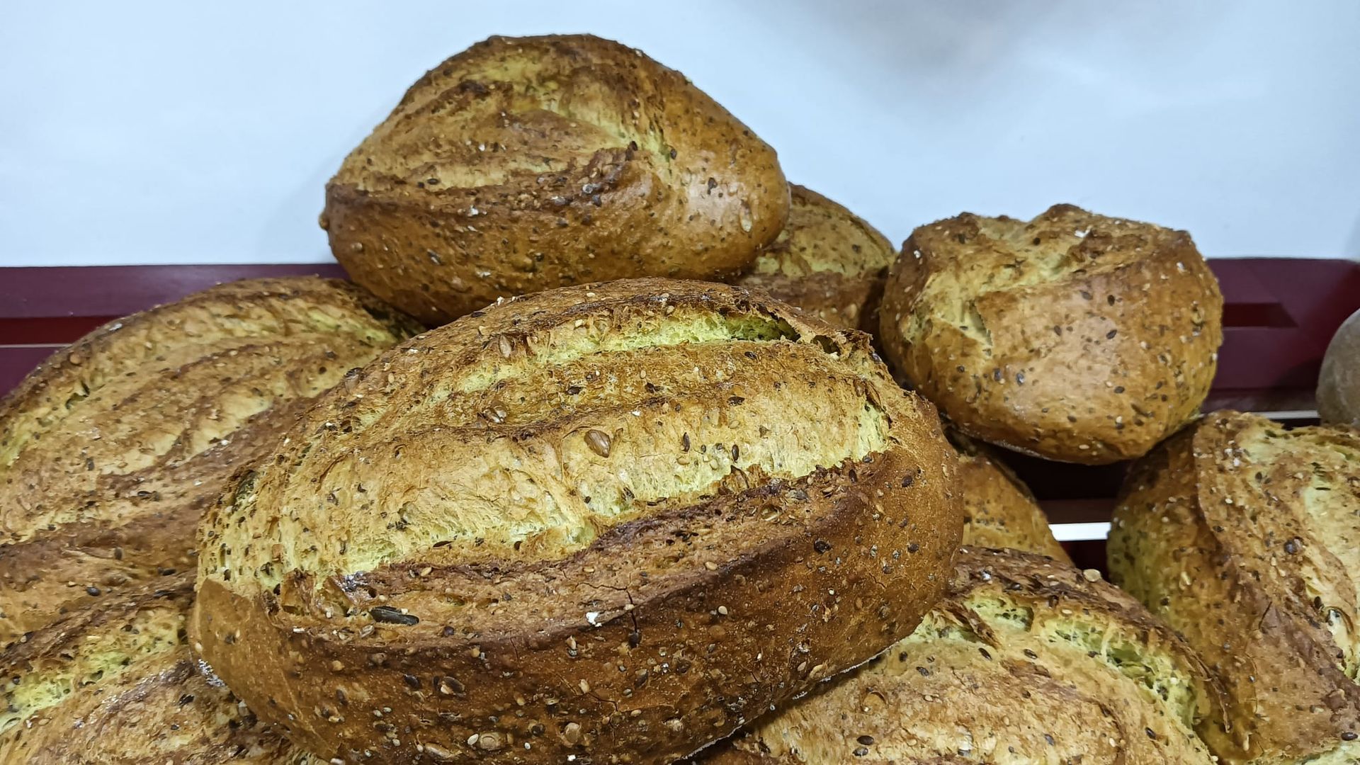 Pane