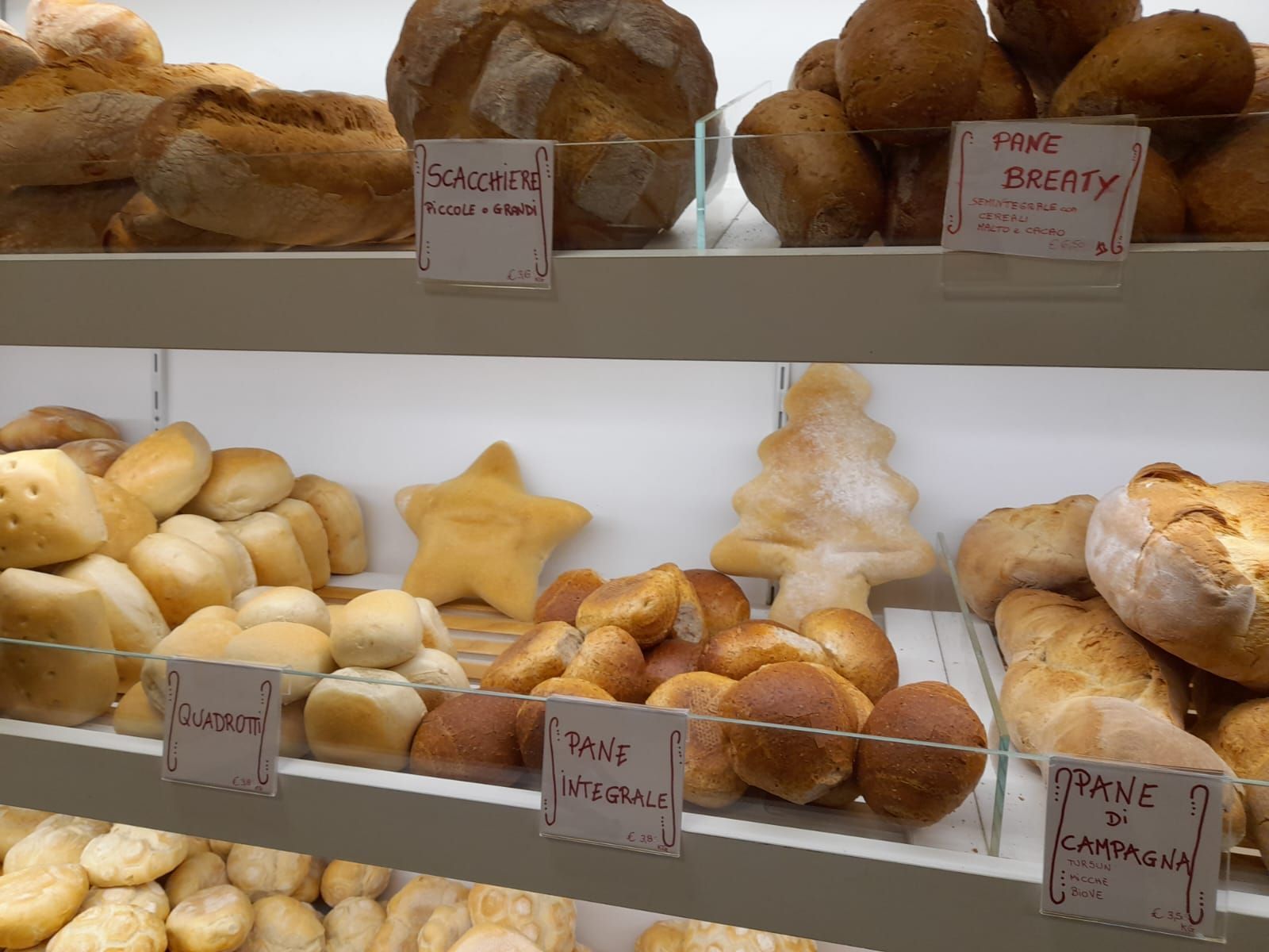 Pane