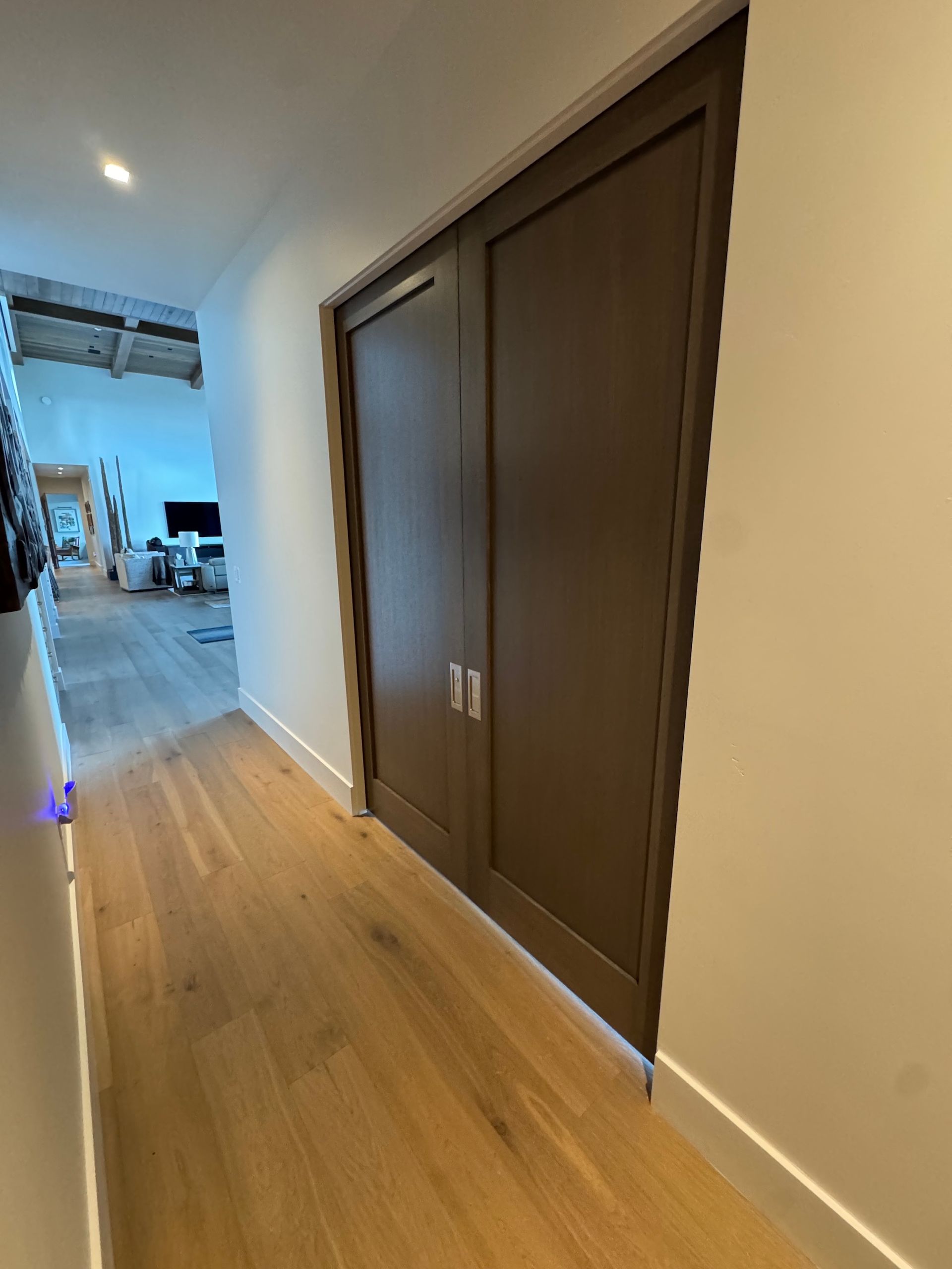 Hallway with wood flooring and dark sliding closet doors, leading into a bright living area.
