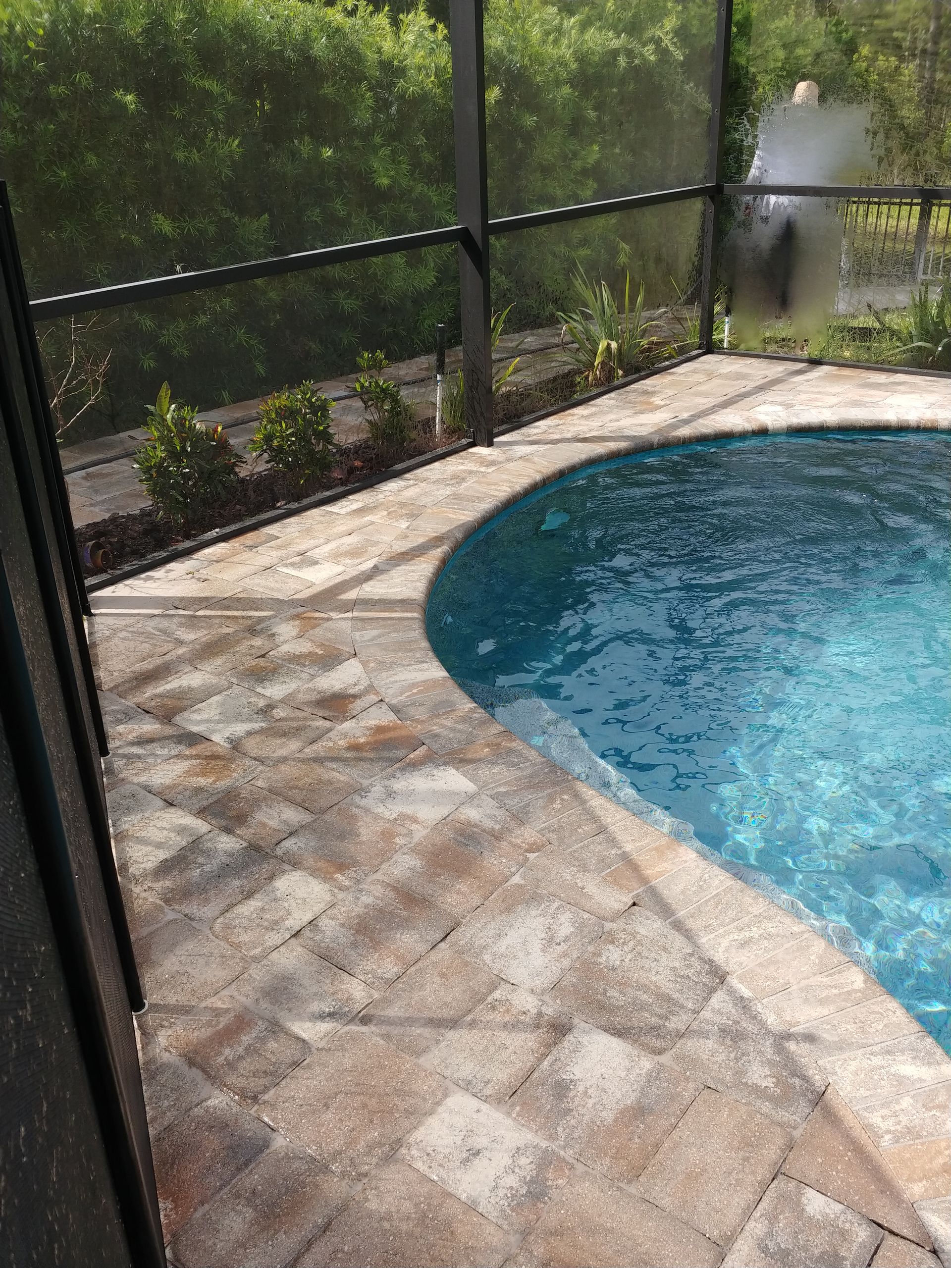 Backyard pool with blue water, stone patio, and black mesh safety fence in sunlight