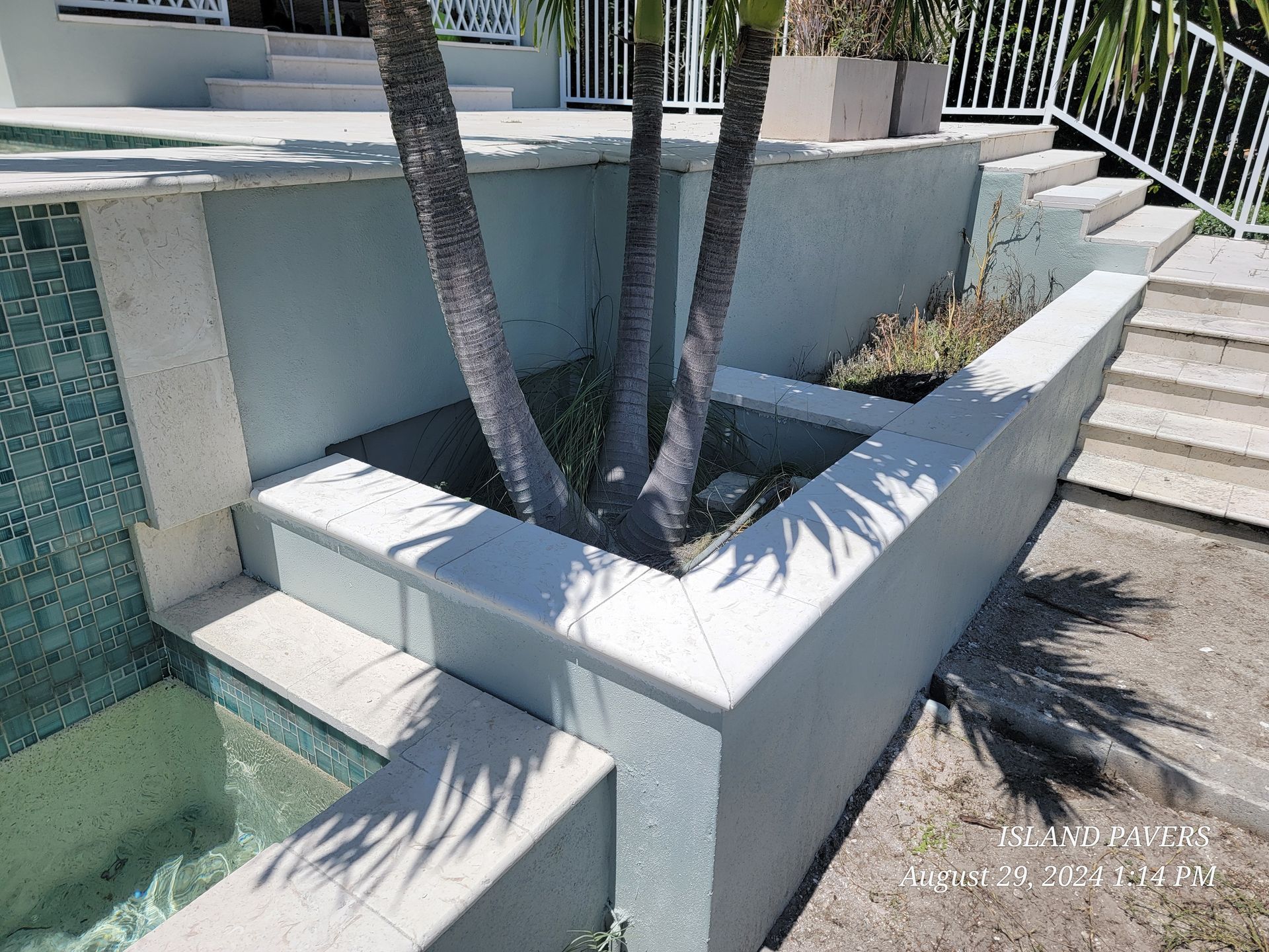 Concrete planter with palm trees beside a pool in a sunny outdoor courtyard