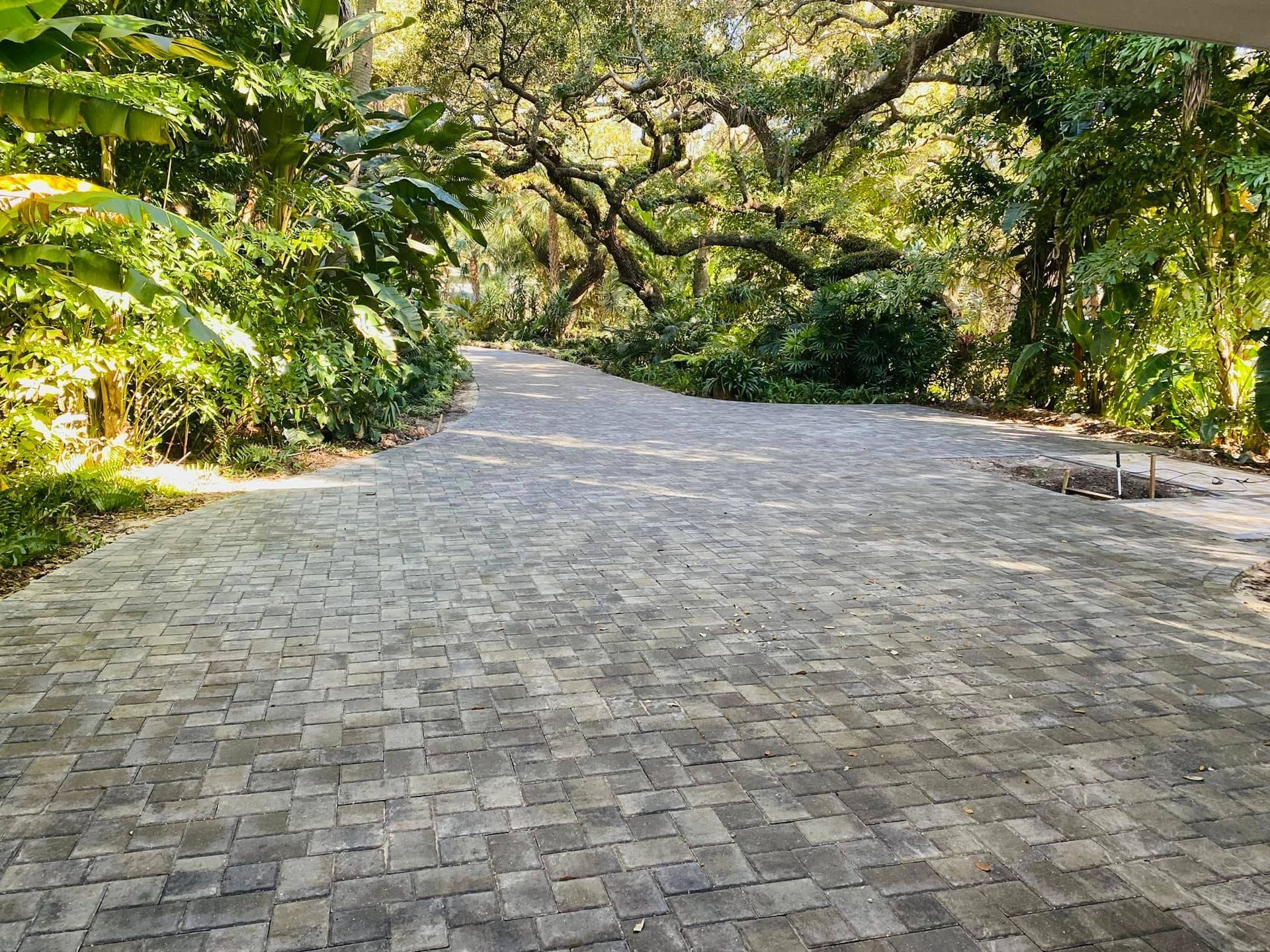 Stone-paved road winding through lush green trees in bright daylight