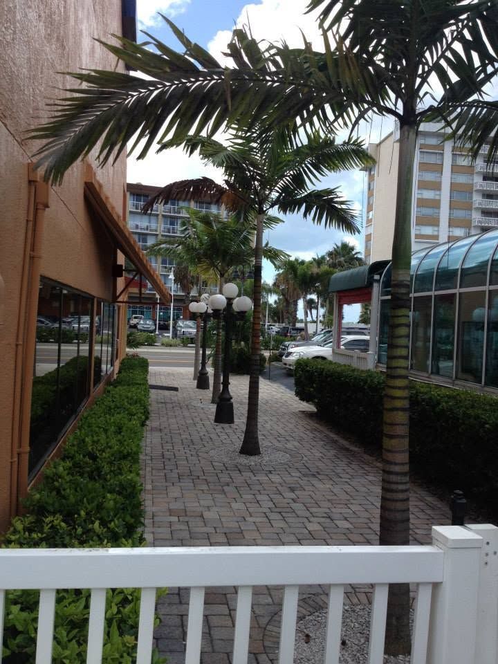 Palm-lined walkway beside buildings and hedges, with a white fence in the foreground.
