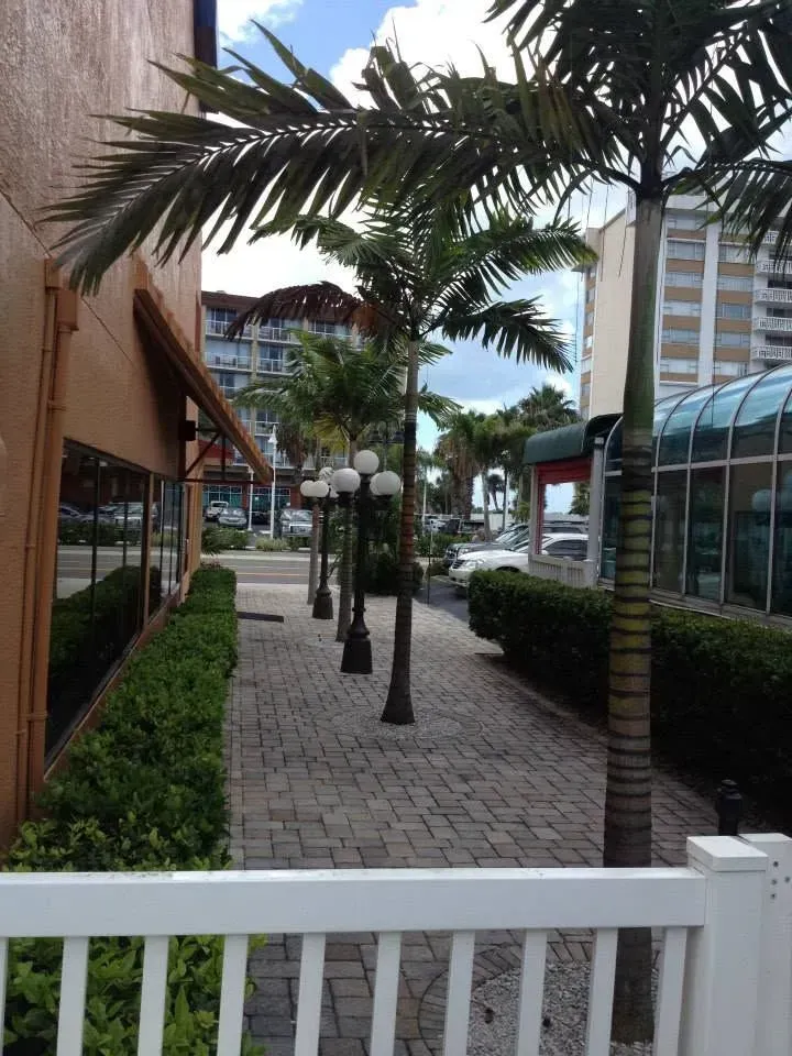 Palm-lined pedestrian walkway beside storefronts and a white fence in an urban plaza