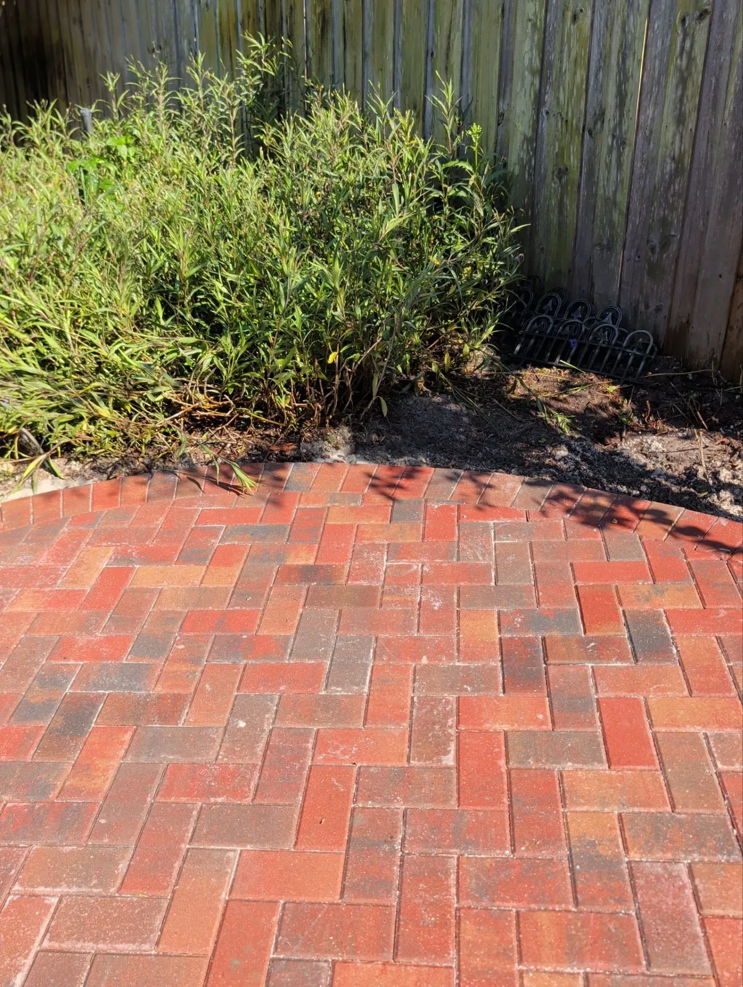 Brick patio beside a swimming pool, with a curved pool edge and shrubbery nearby