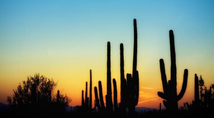 Arizona sunset landscape