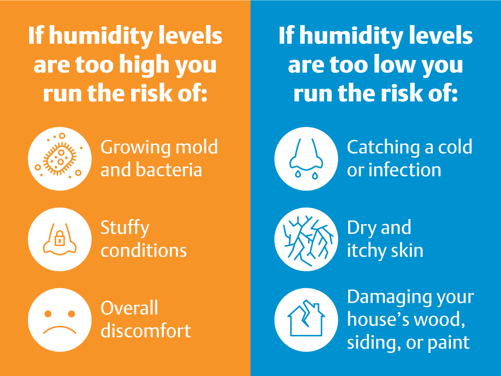 High Humidity Florida