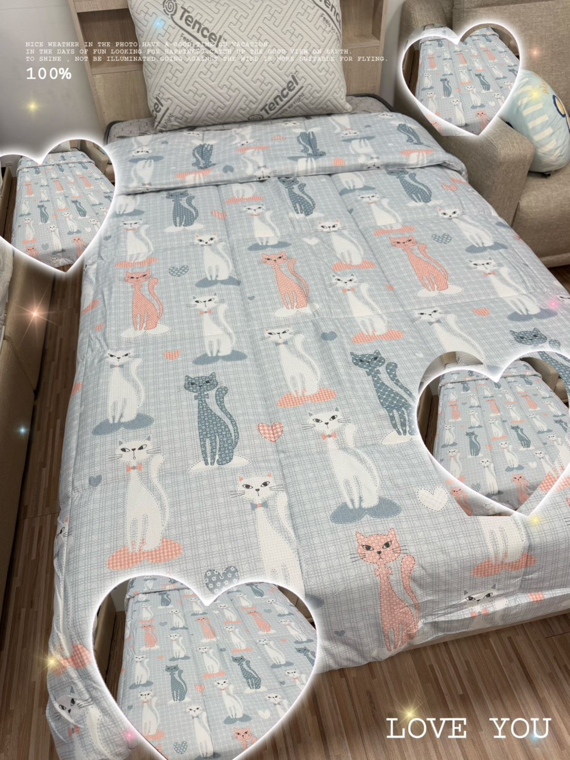 【RoyalWIings】喵星人QQ被 可水洗 透氣 保暖 不悶熱 抗寒冬被