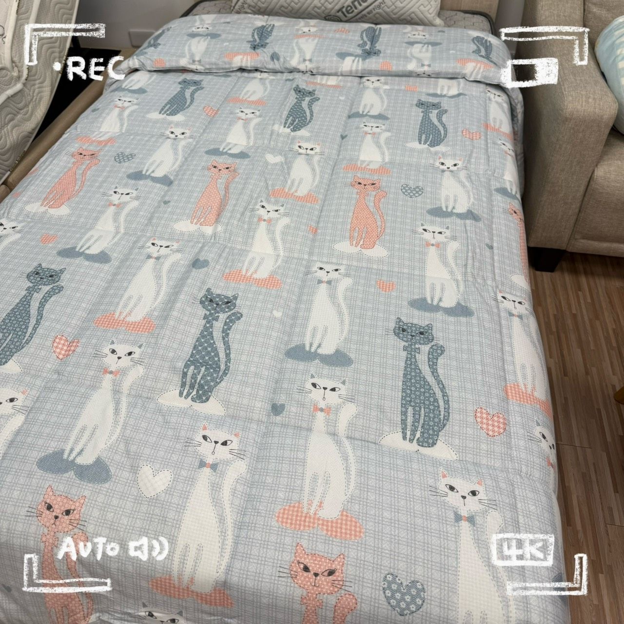 【RoyalWIings】喵星人QQ被 可水洗 透氣 保暖 不悶熱 抗寒冬被