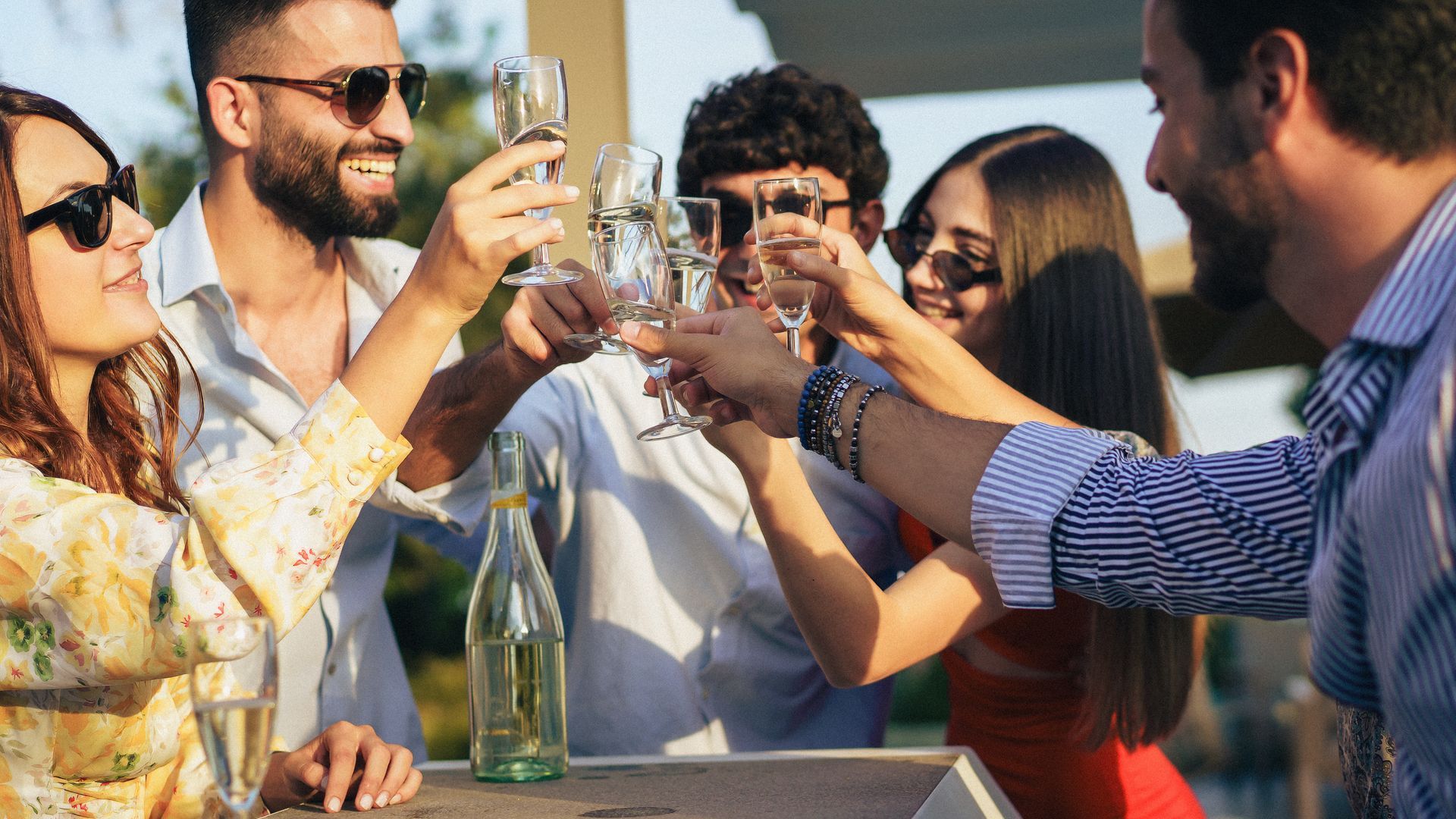 Group toasting drinks outdoors at a sunny gathering, smiling and wearing sunglasses.