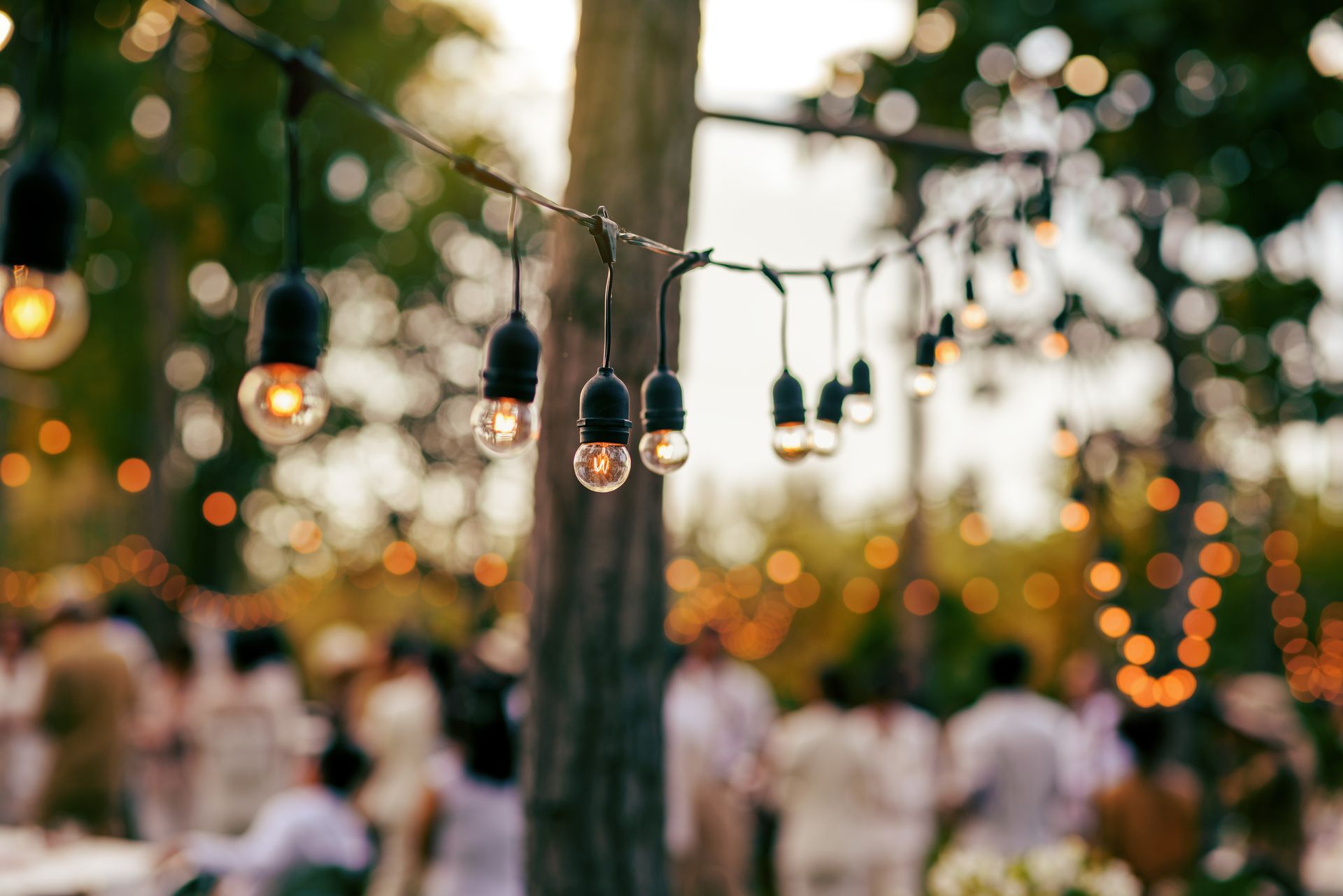 String lights hanging outdoors at a garden party with blurred guests in the background