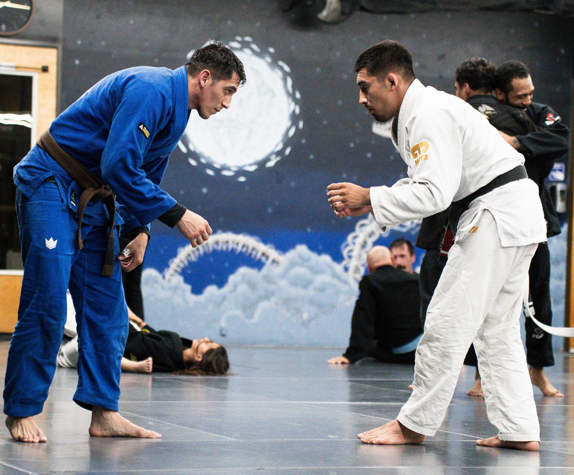 Adults training Brazilian Jiu Jitsu at Cobrinha Southwest in Las Vegas, NV, building strength.