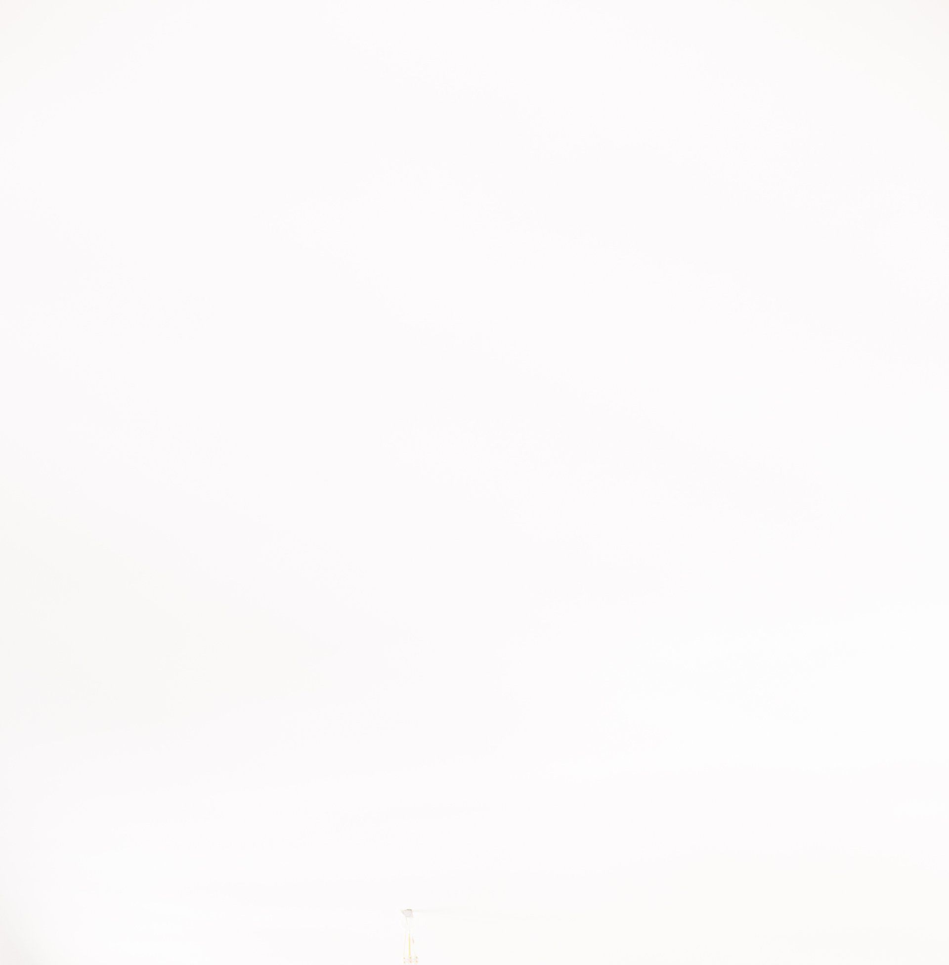 WHITE BACKGROUND