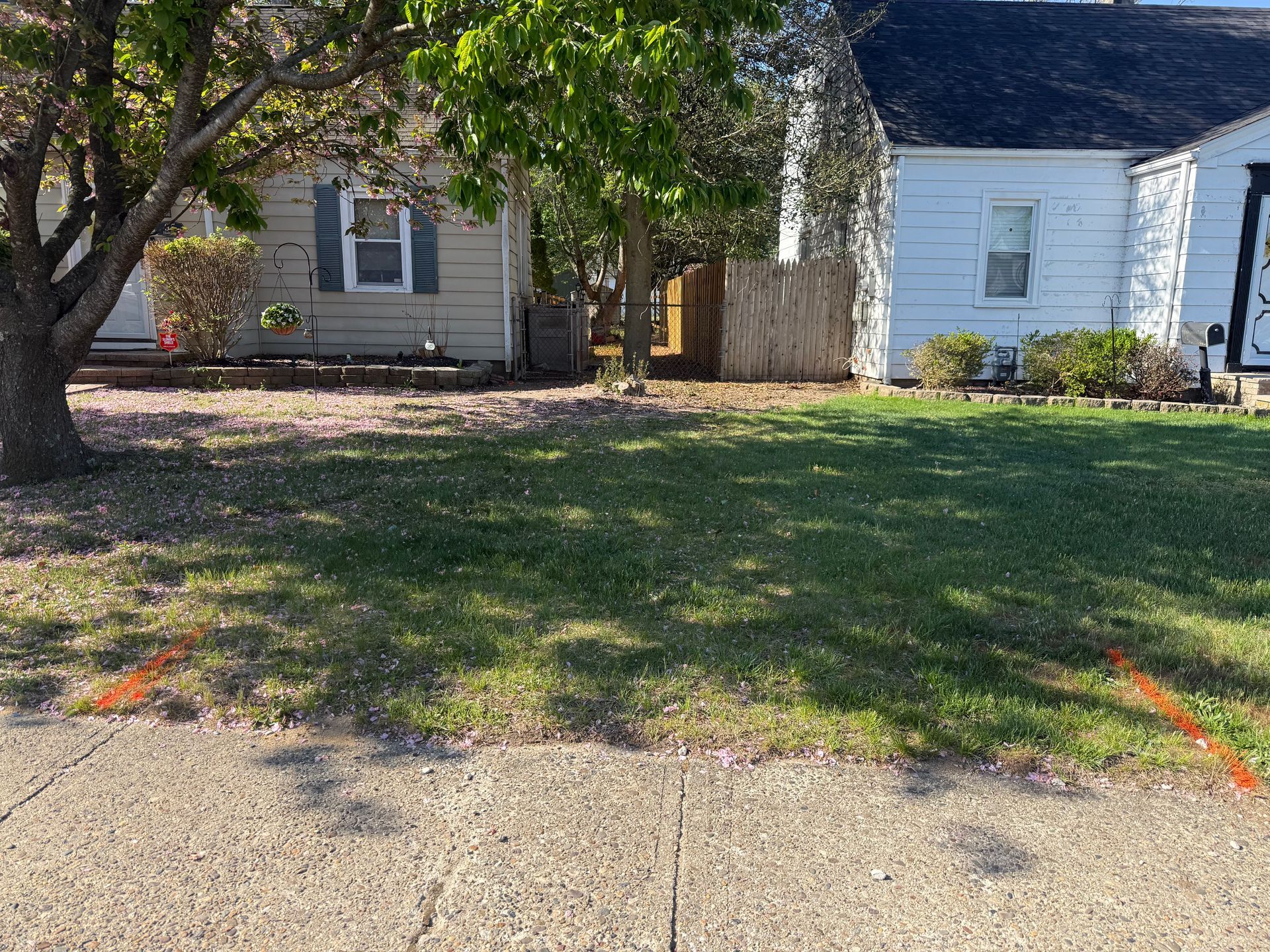 Residential front yard with a small house, trees, grass, and a driveway in the foreground.