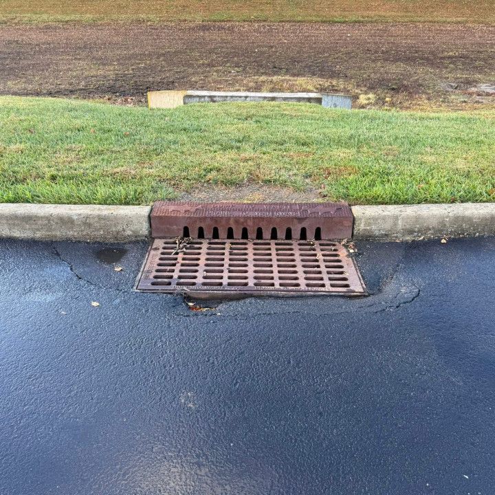 Drainage grate set into asphalt next to a grassy curb.