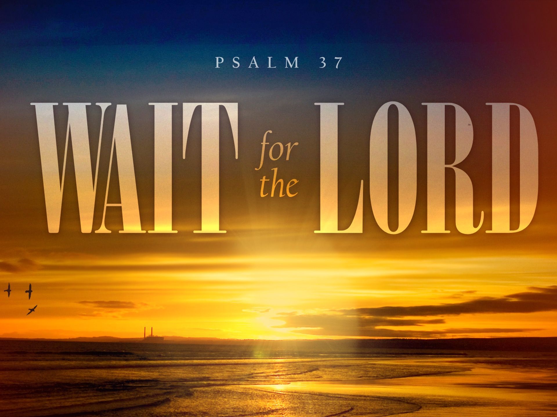 Sermon title: Wait for The Lord
