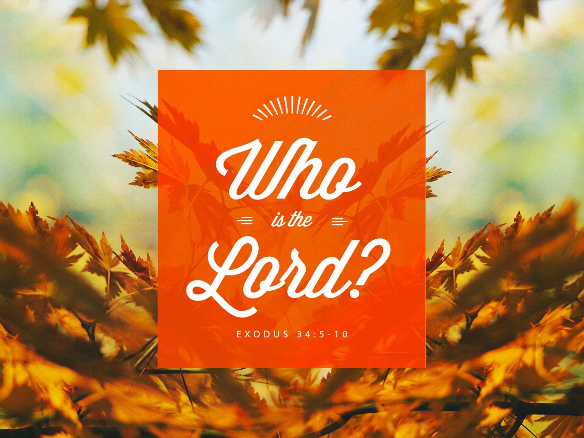 Who Is The Lord?