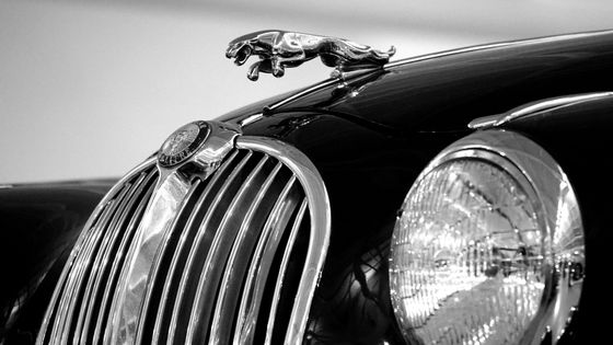 The hood, grill, and ornament of a Jaguar luxury vehicle