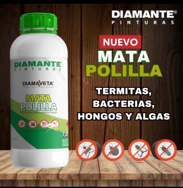 MATA POLILLA