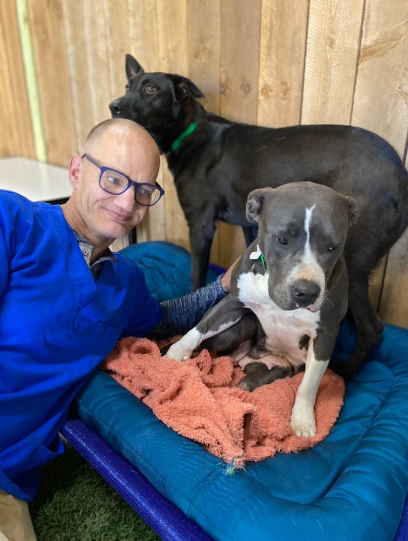 Our Why Dog Day Care, Kennels, Boarding & Grooming Euless, TX