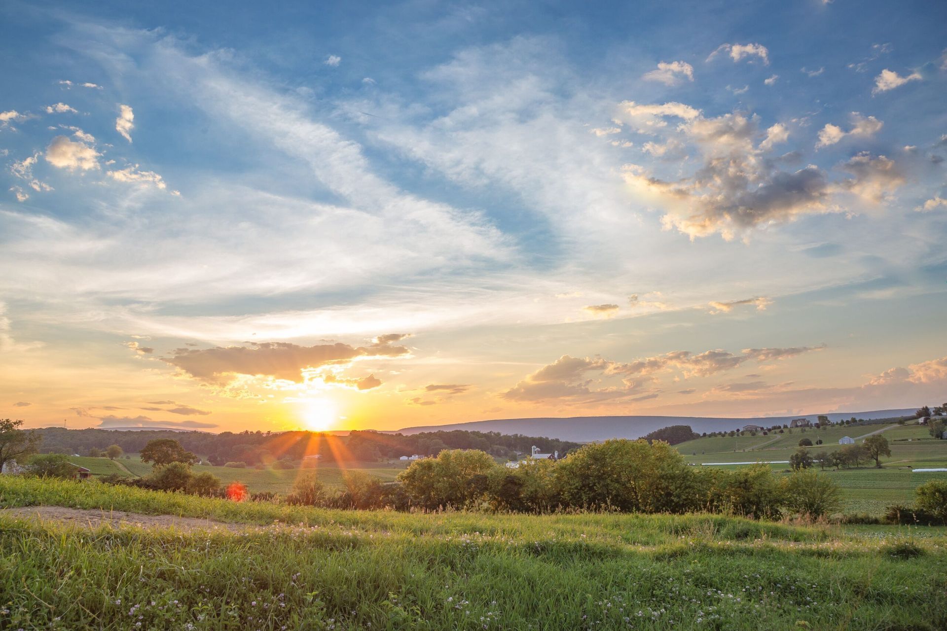 Sunset over a grassy countryside with rolling hills, scattered trees, and a partly cloudy sky
