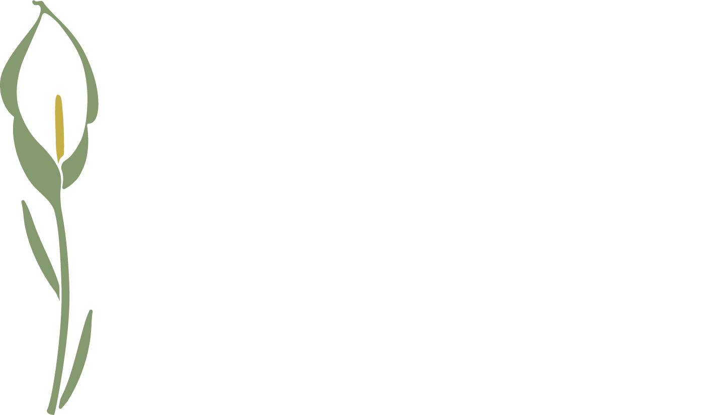 DeMunn Funeral Home and Cremation Center logo