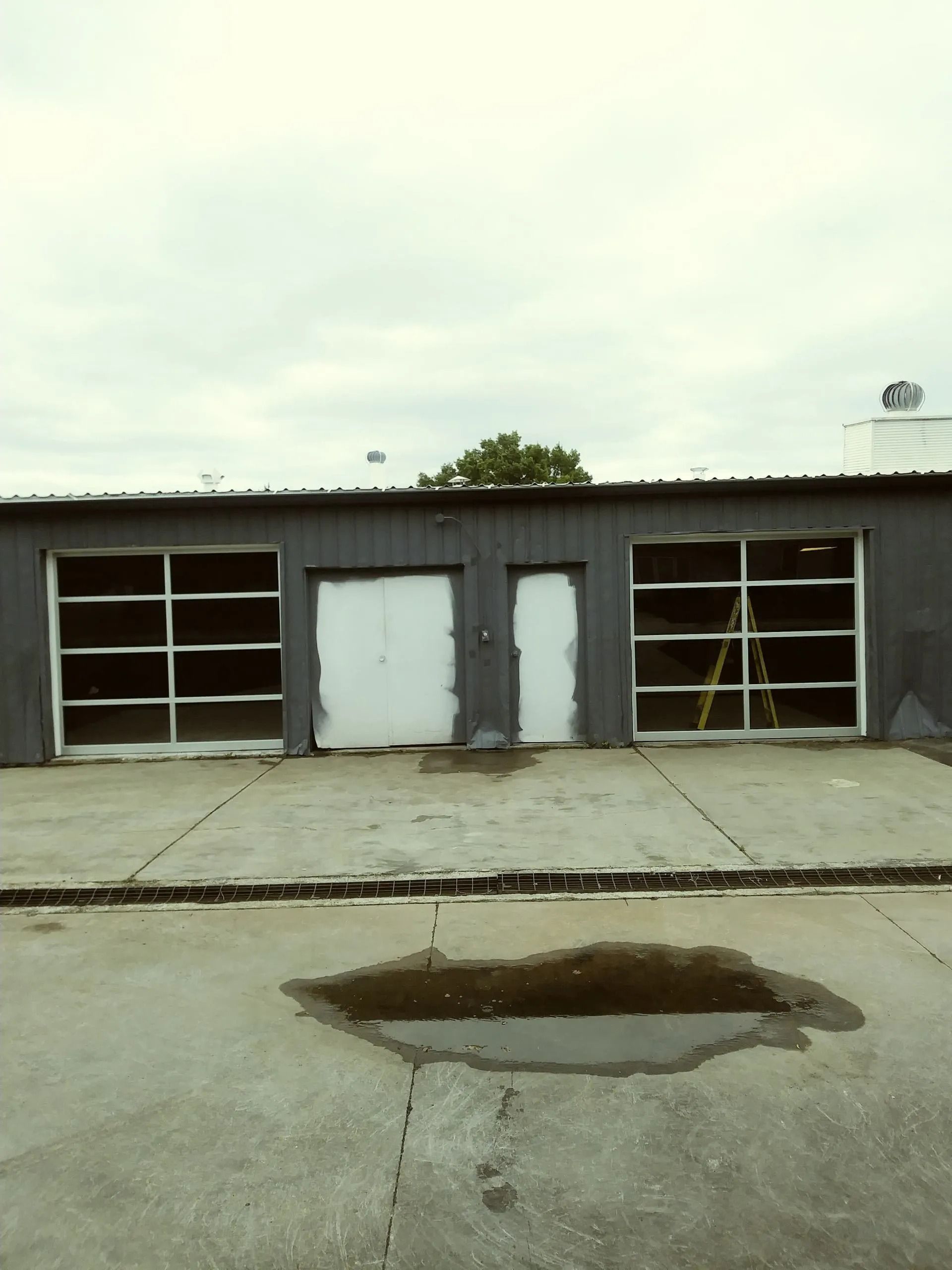 Goodwin Garage Door 10