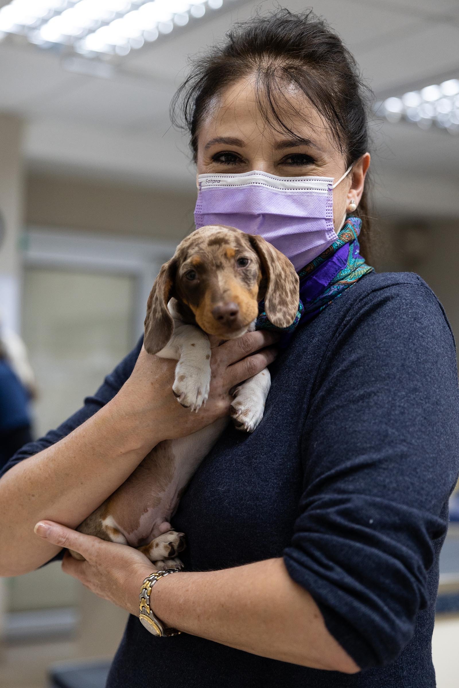 Fourways VET Hospital Hospital & Specialist Referral Centre