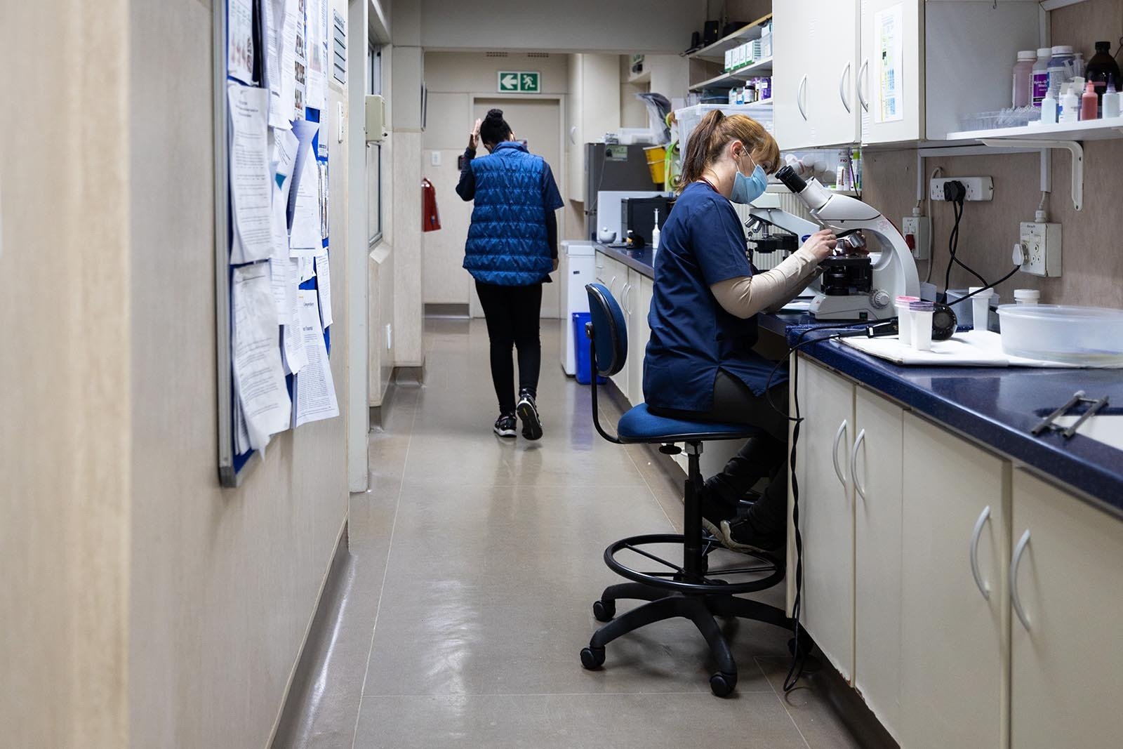 Our Facilities Fourways Vet Hospital