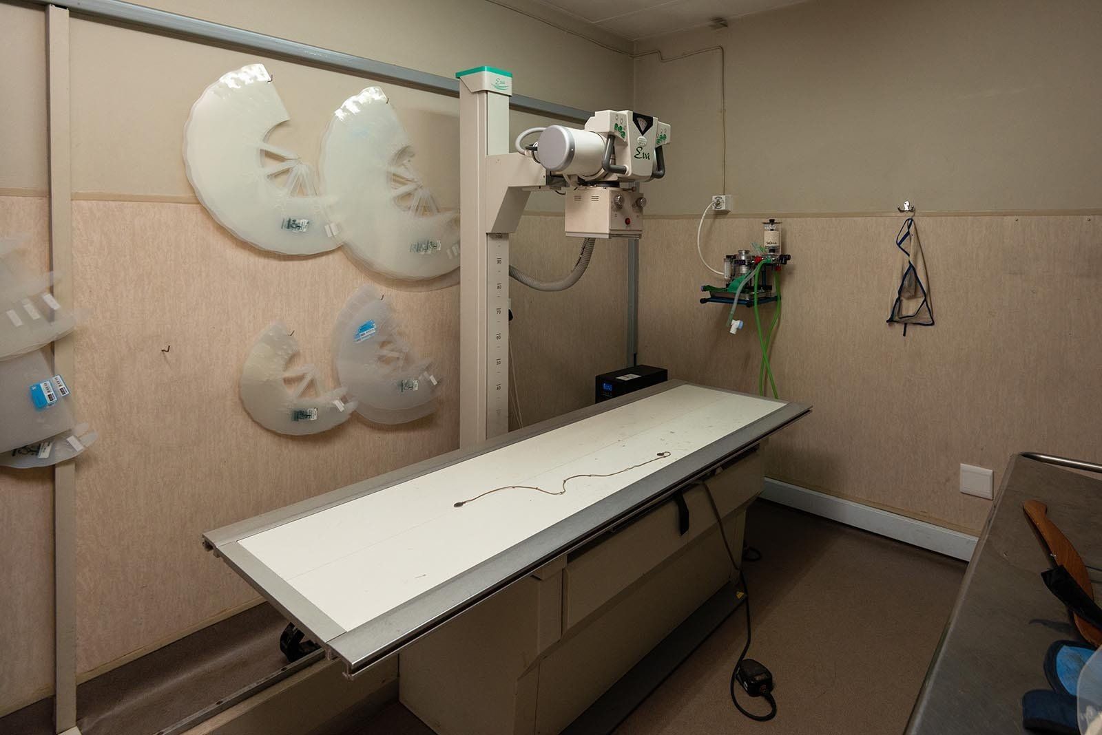 Vet icon operating room