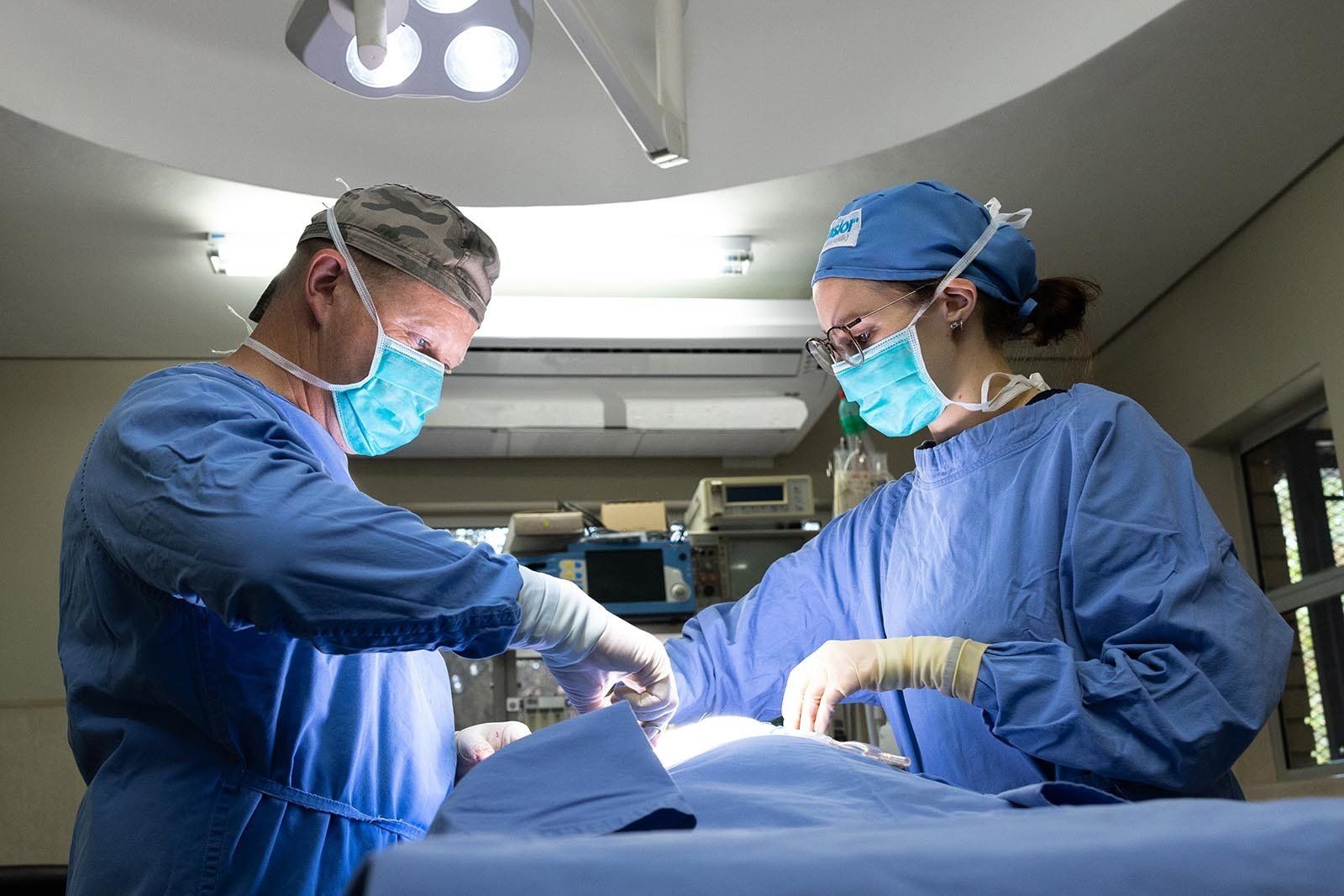 Vet surgeons