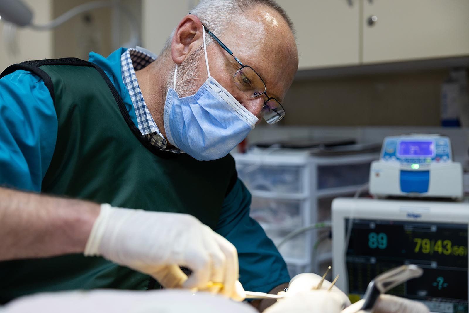 Vet operation Johannesburg