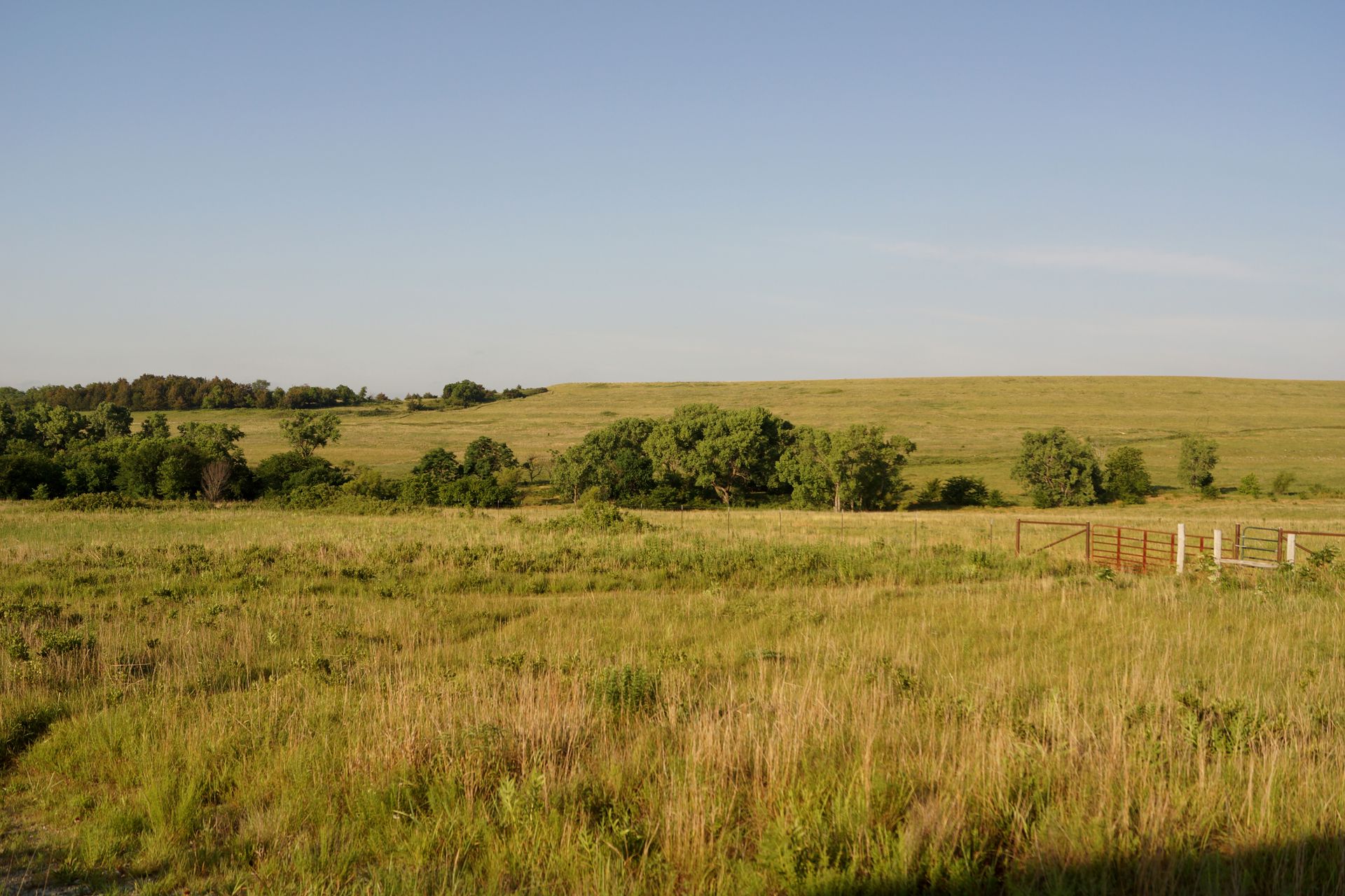 prarie