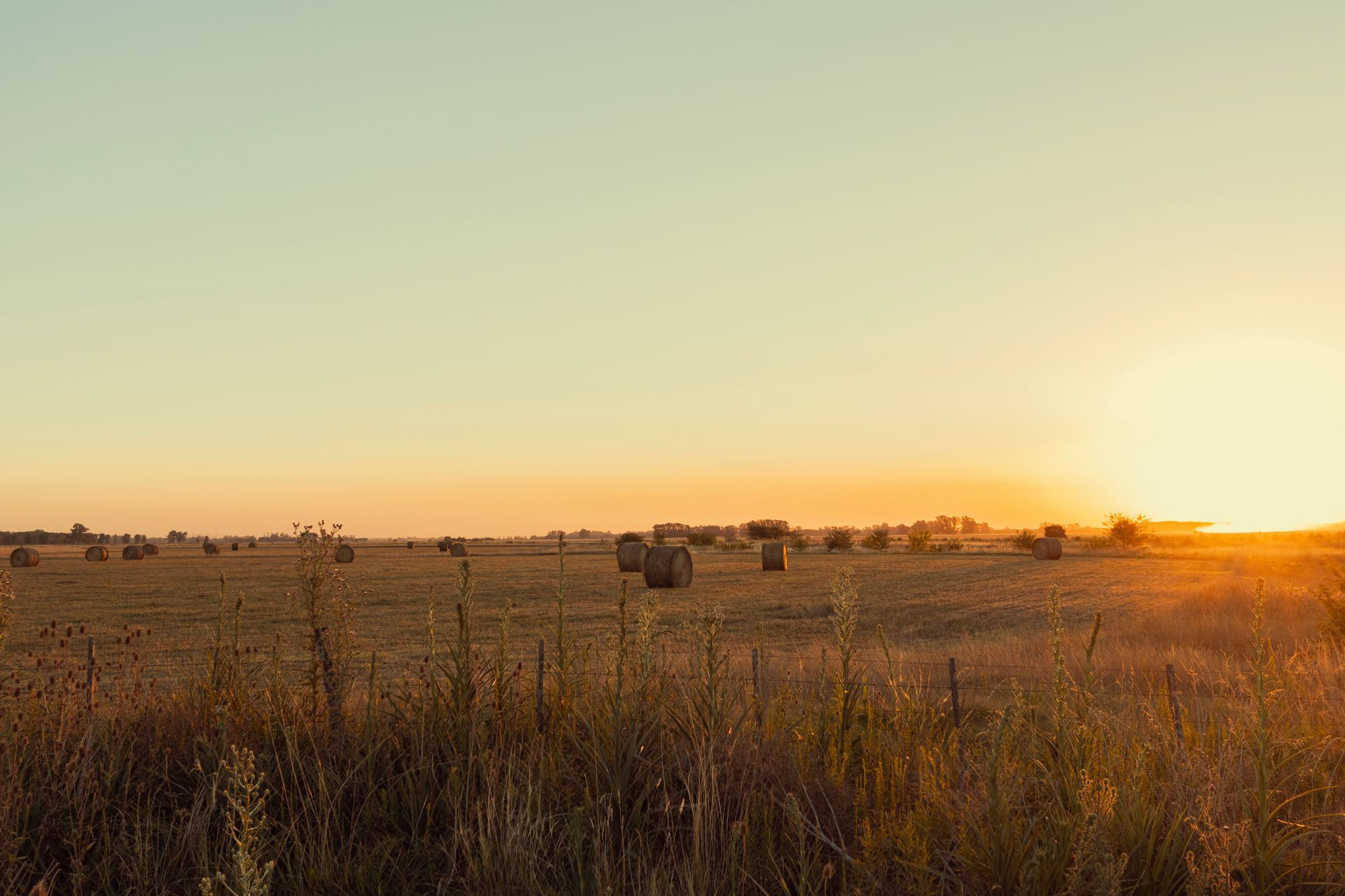 hay bales