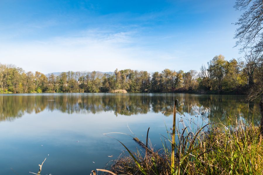 small lake