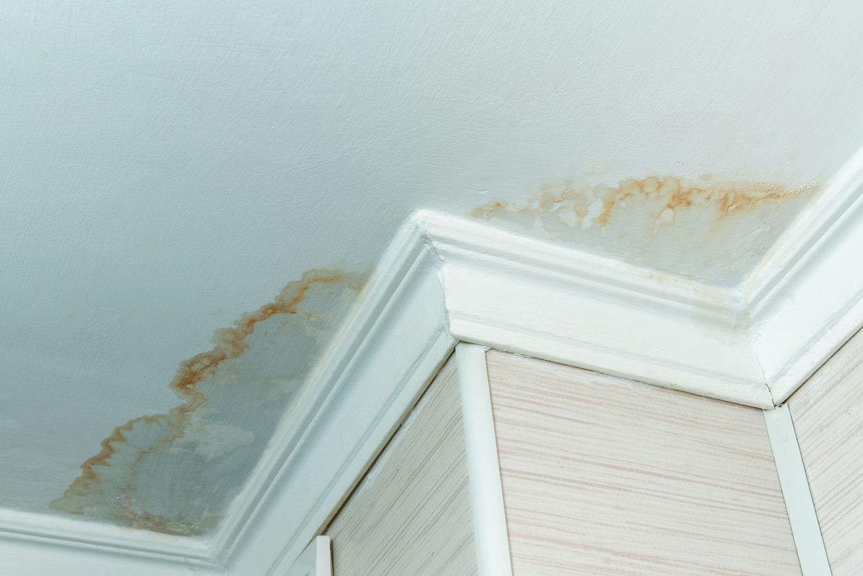Water stains on a white ceiling above cabinetry, indicating a potential leak.