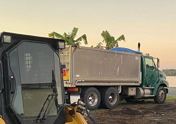 Soil removal and relocation