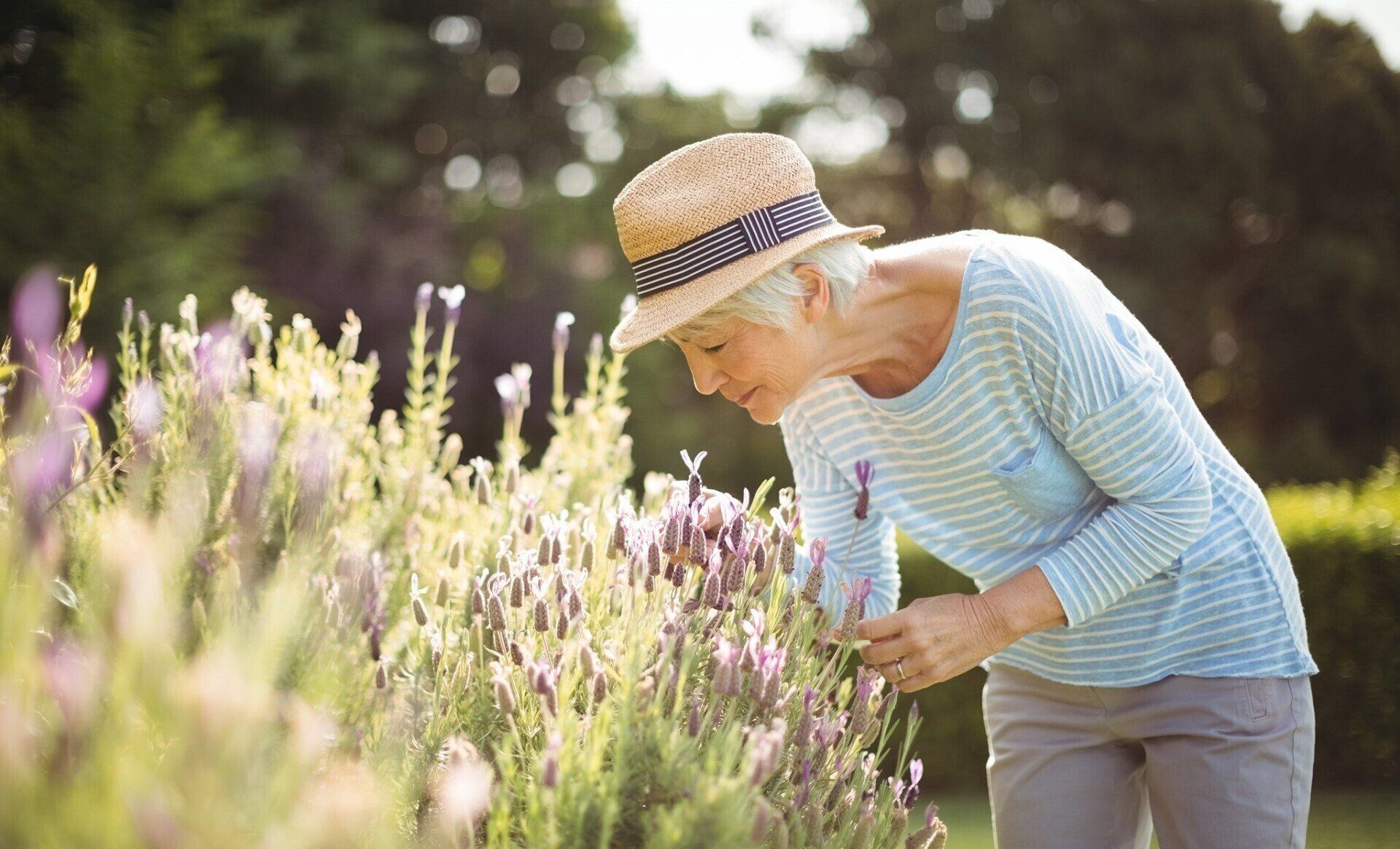 Independent Living and Assisted Living — Glenview, IL — Chestnut Square at the Glen