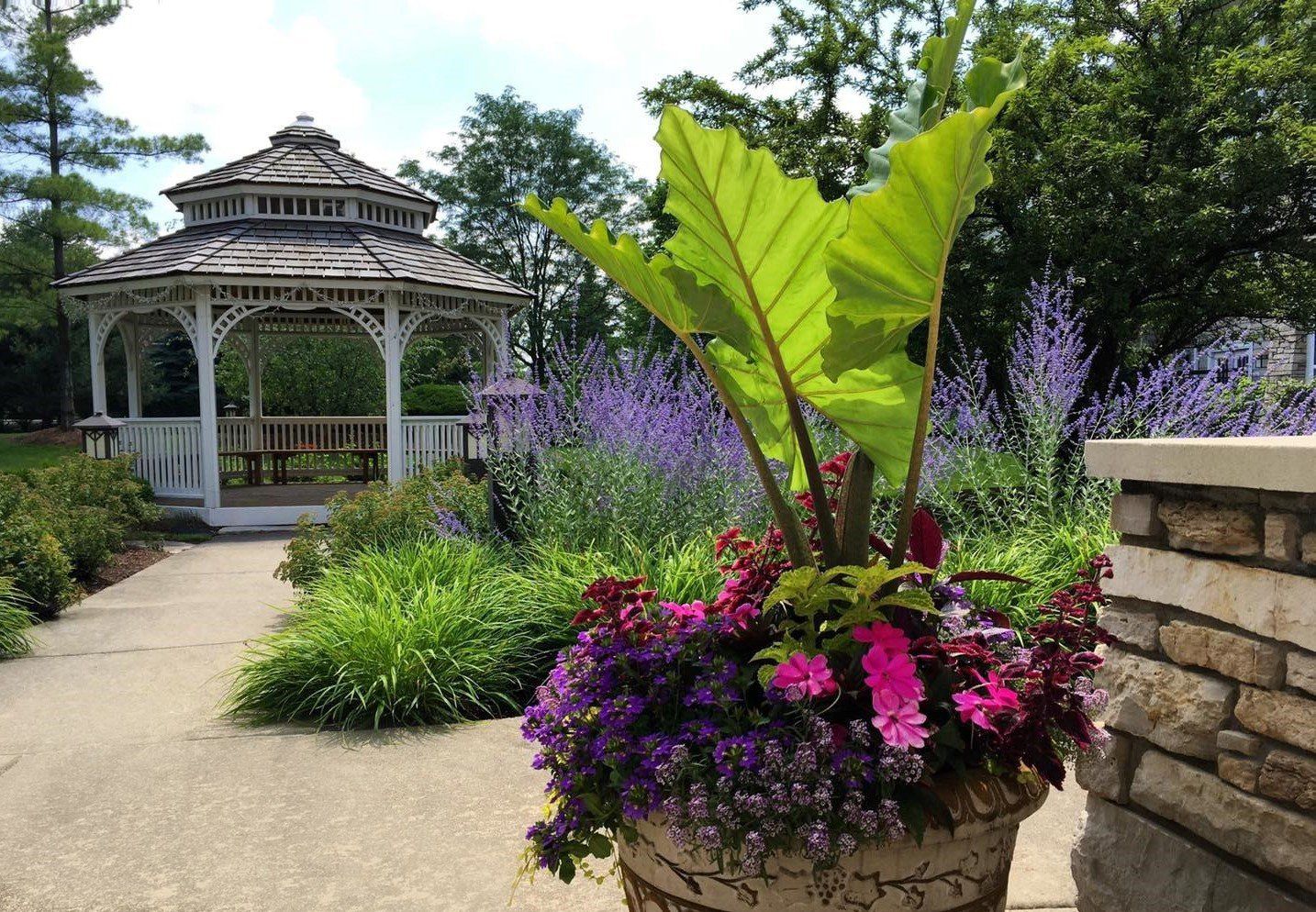 A garden scene with a gazebo in the background and a large pot of flowers in the foreground, featuring lush greenery and purple blooms.