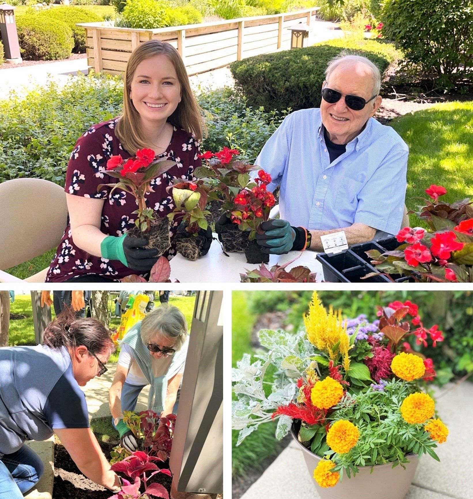 People gardening together outdoors, smiling. Woman and elderly man planting flowers, others tending to a garden bed.