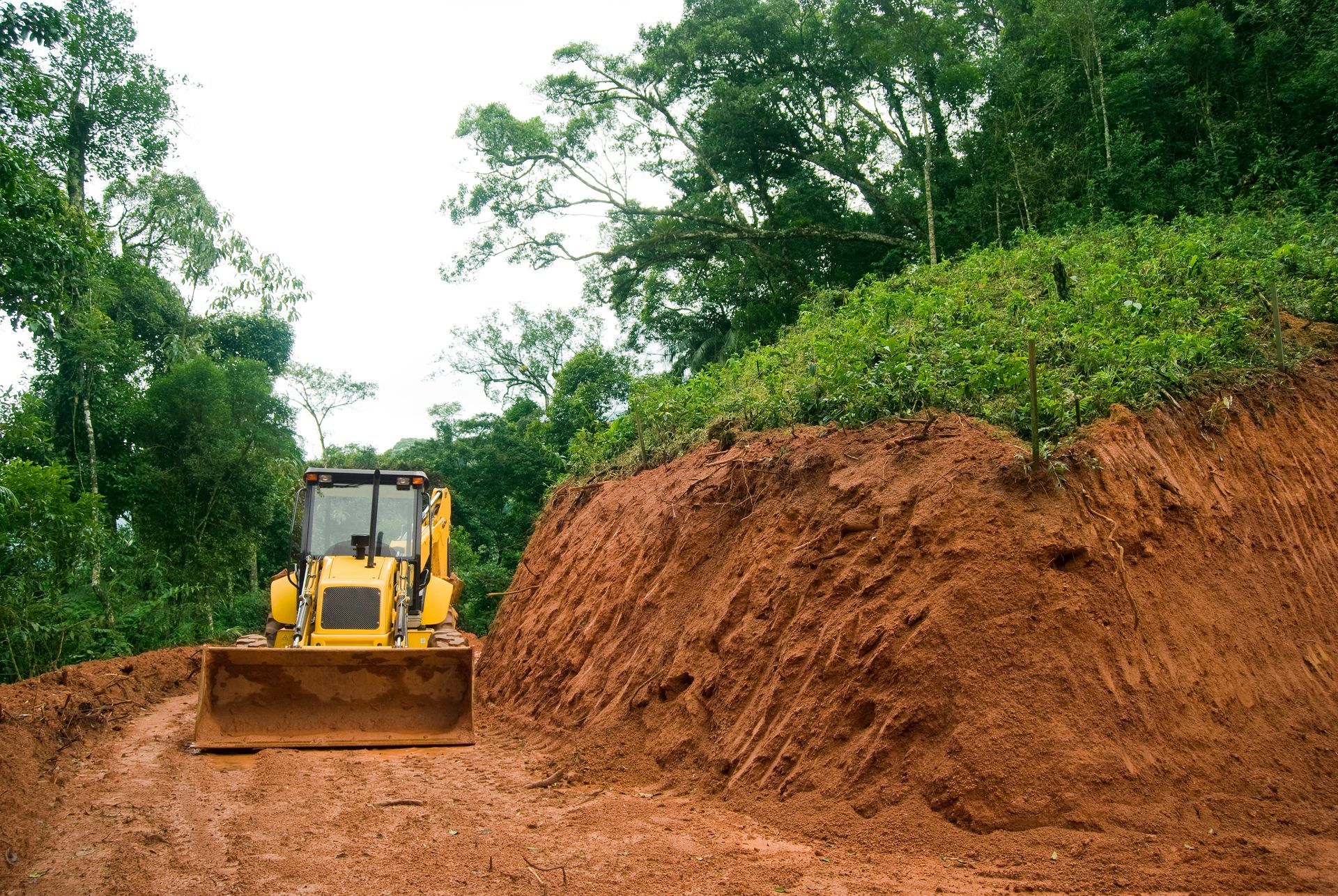 A bulldozer is working on a dirt road in the woods
