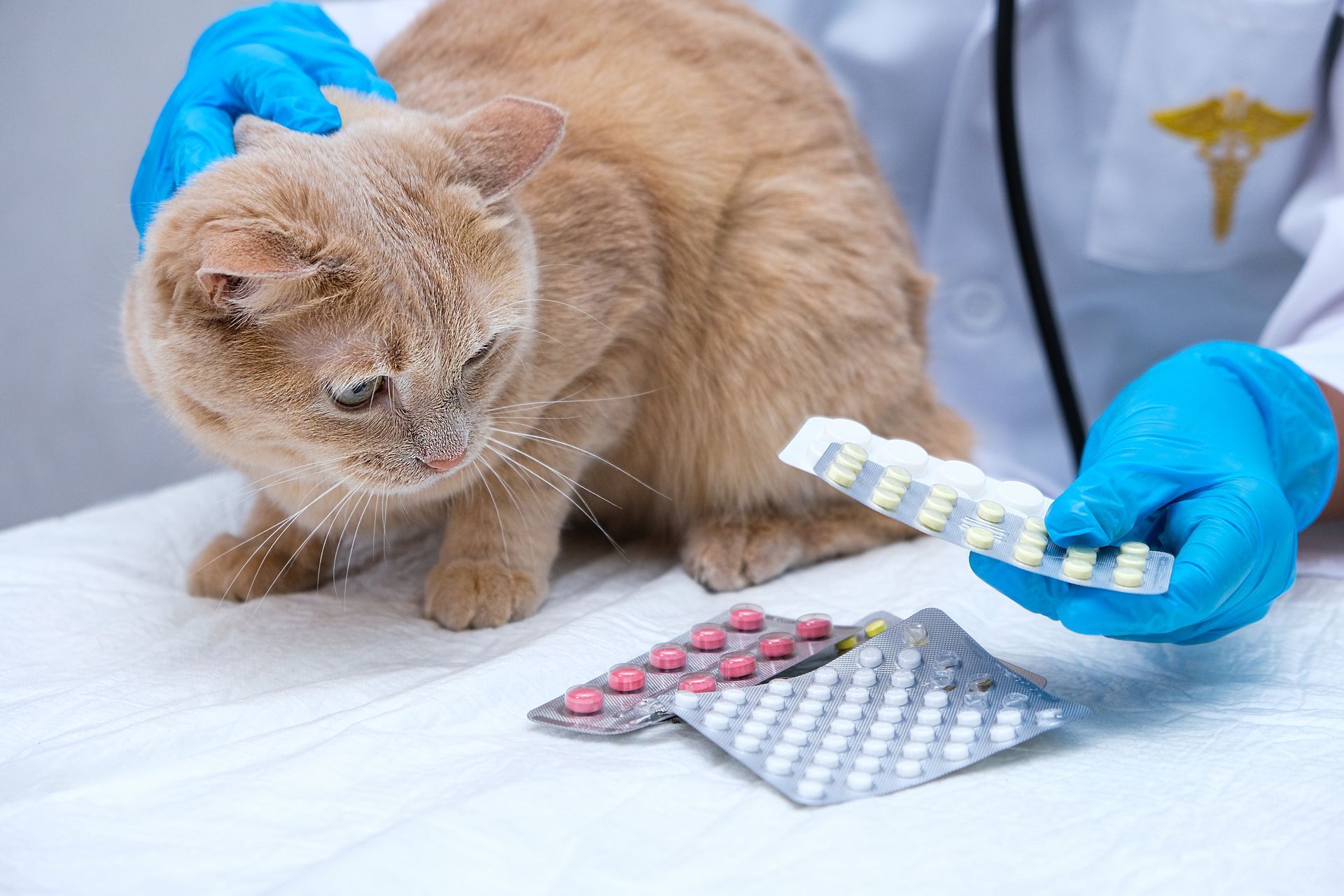 farmaci veterinari