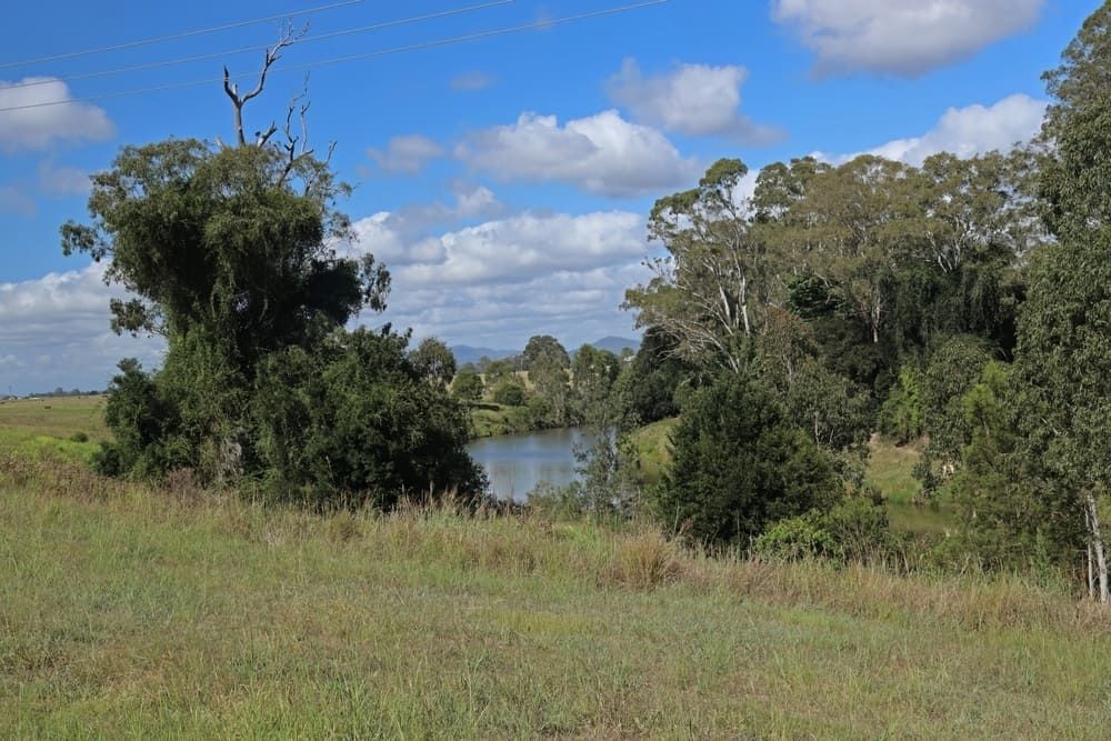 A Grassy Field With Trees and a Lake in the Background  — Lynams Landscapes Pty Ltd in Cosgrove, QLD