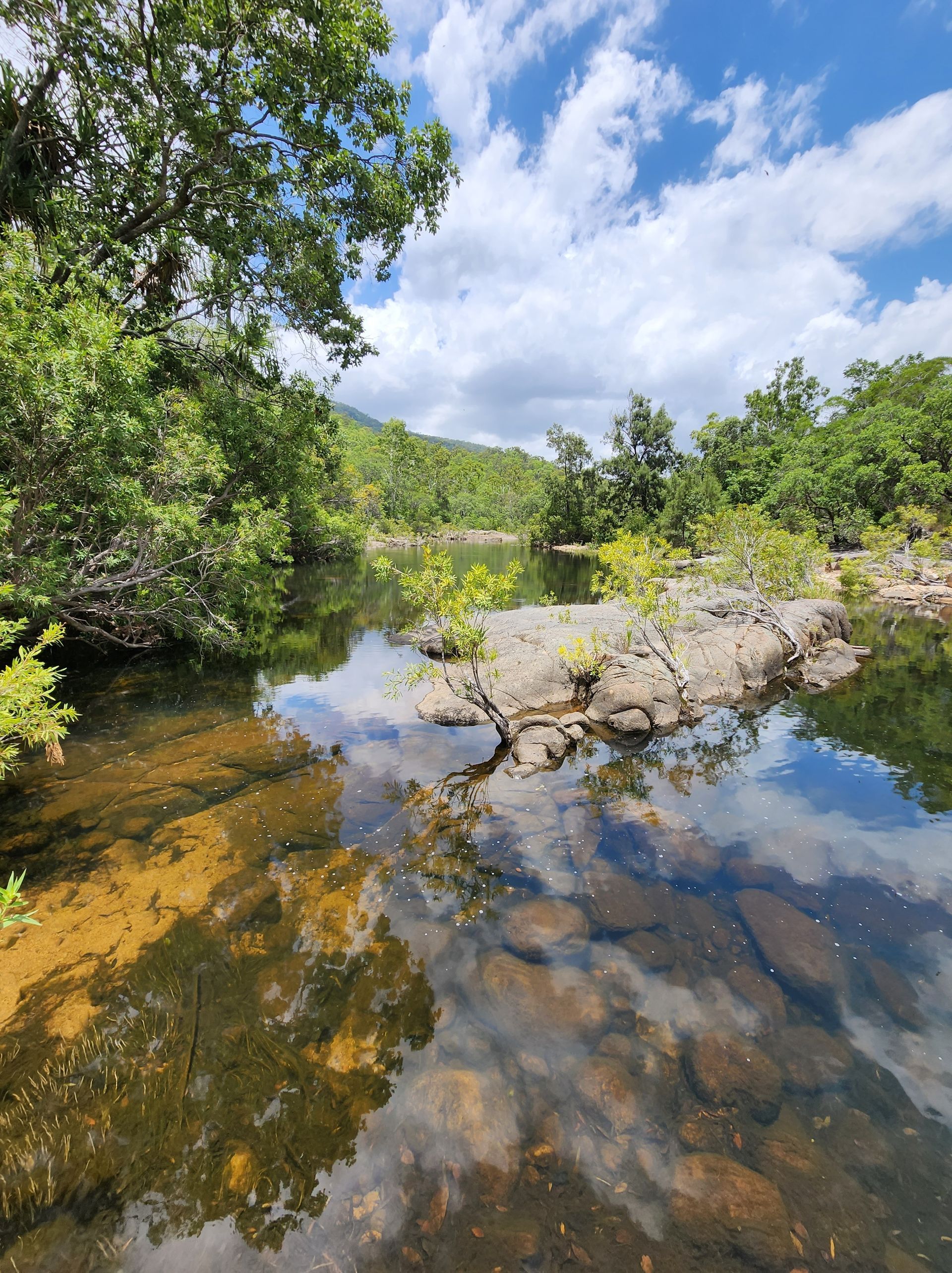 A river surrounded by trees and rocks on a sunny day — Lynams Landscapes Pty Ltd in Alligator Creek, QLD